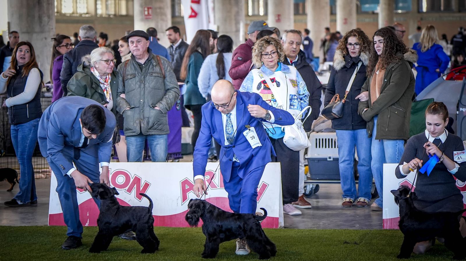 Espectacular exposición canina en Ifeca Jerez, en imágenes