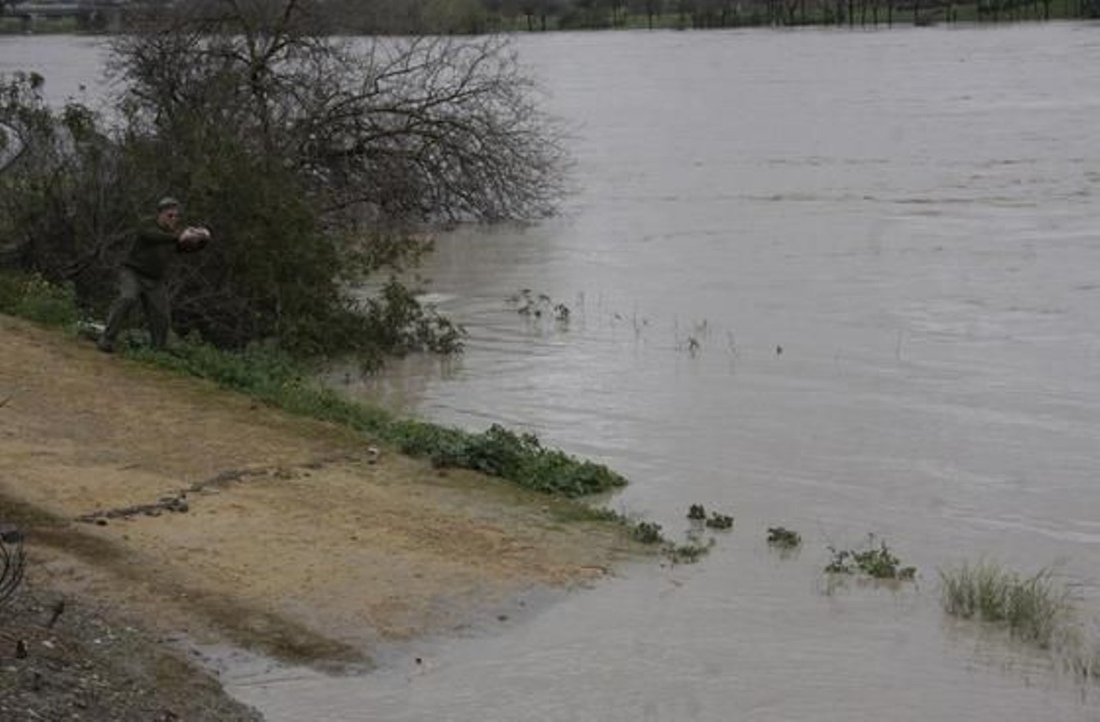 El río alcanza grandes niveles en San Juan de Aznalfarache.

Foto: Victoria Hidalgo