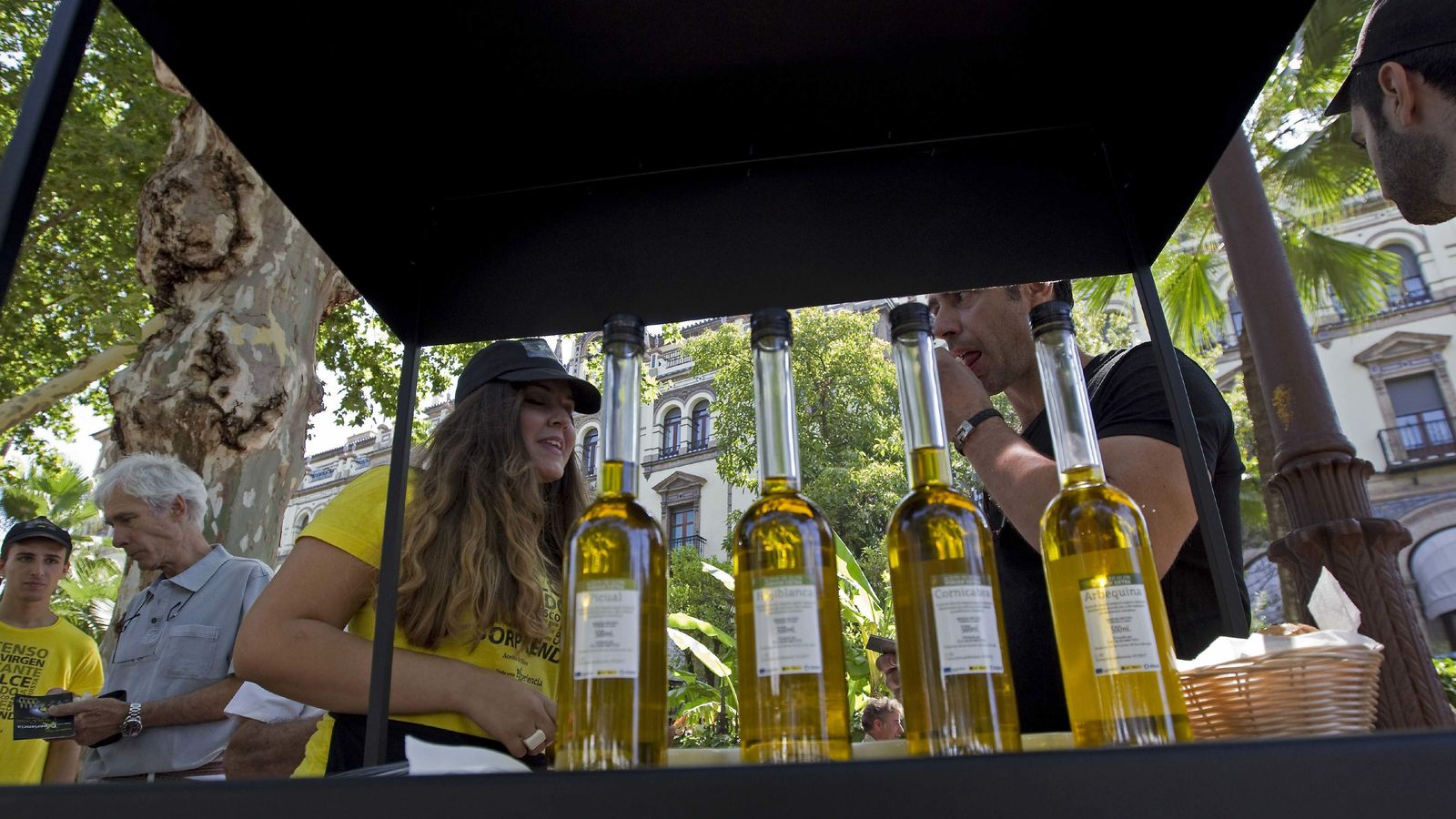 Campaña de promoción.