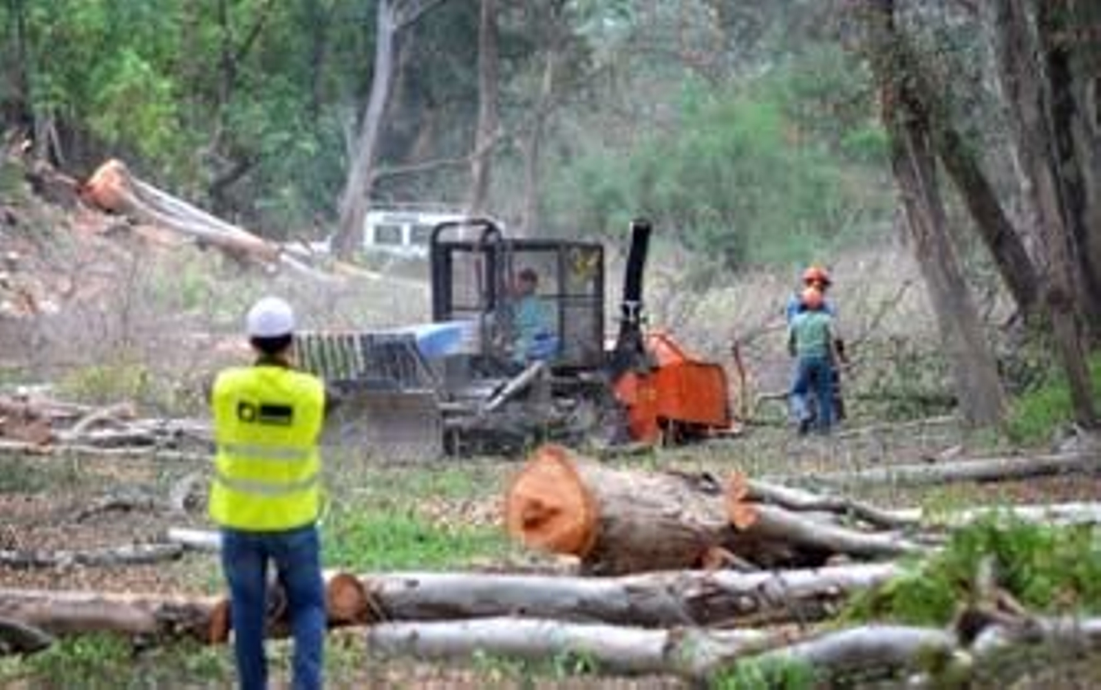 La Junta acelera el desembalse de Bornos para evitar nuevas riadas
