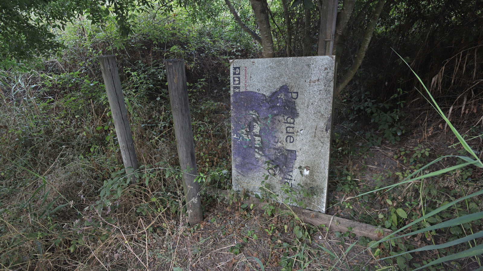 Fotos de los desperfectos del parque del río Pícaro en Algeciras