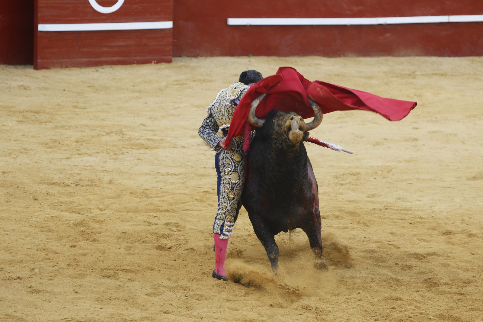 Las fotos de la corrida de toros de la Feria de San Roque