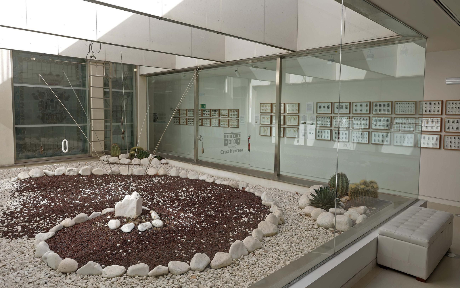 Fotos del Museo Cruz Herrera de La Línea