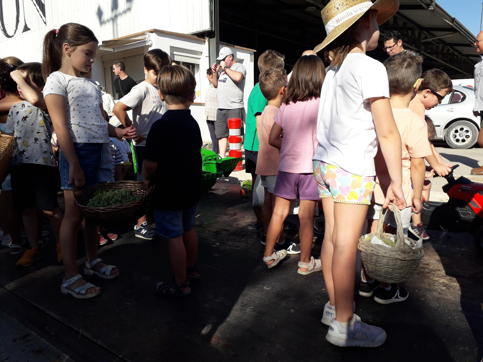 La primera vendimia infantil de Montilla, en imágenes