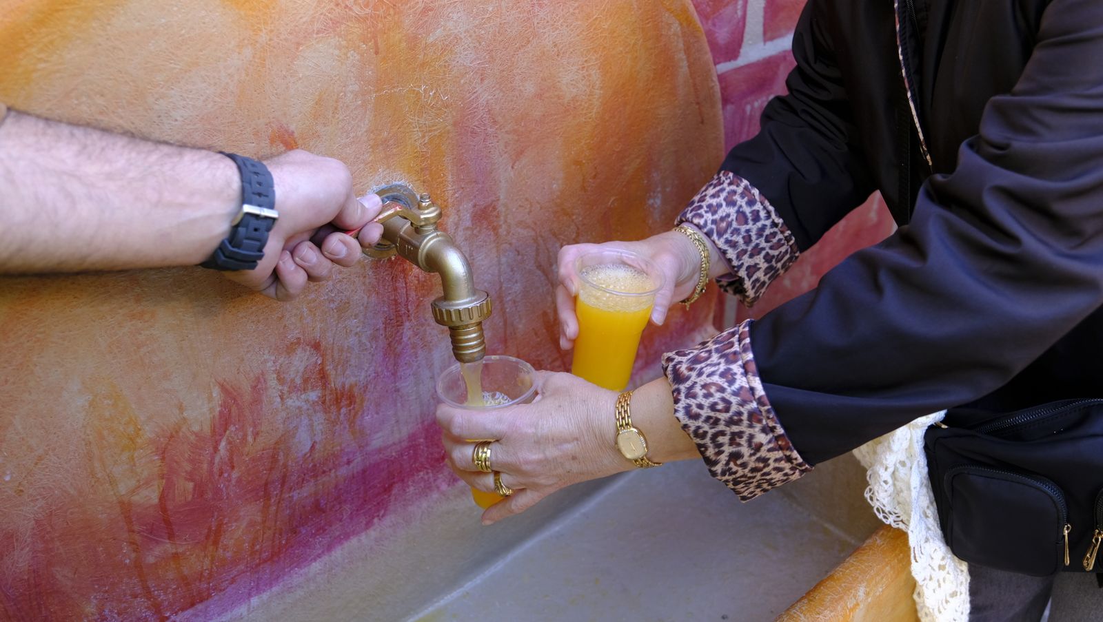 El Día de la Naranja en Gádor, en imágenes