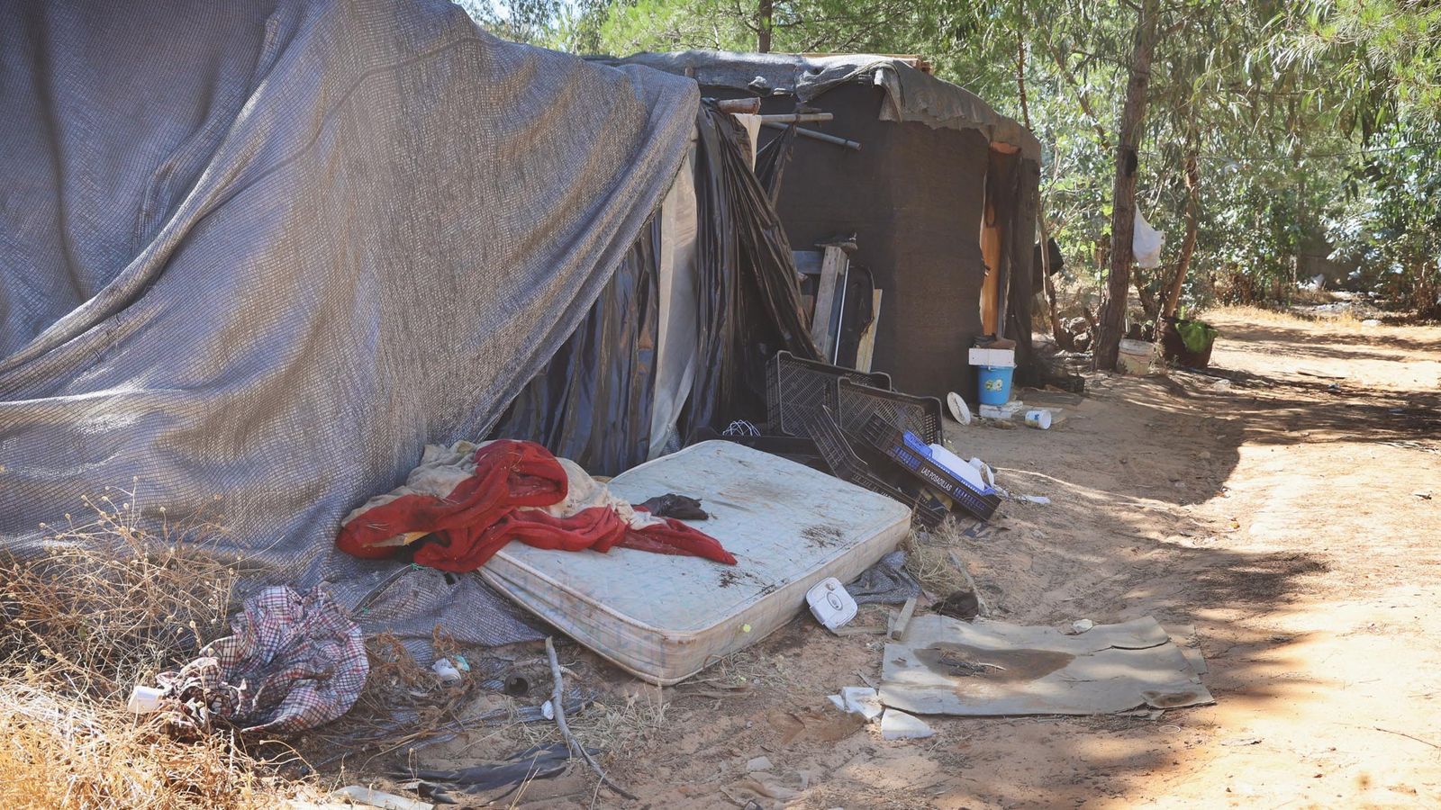 Asentamiento chabolista en Lucena del Puerto.
