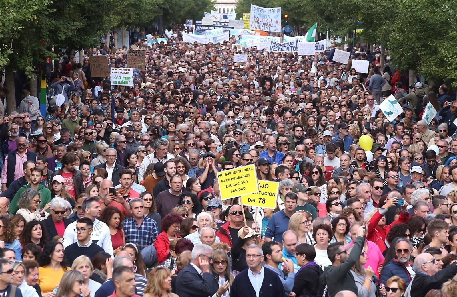 Marcha por la sanidad en Granada tras 10 meses de Gobierno del cambio, esta imagen no se improvisa...