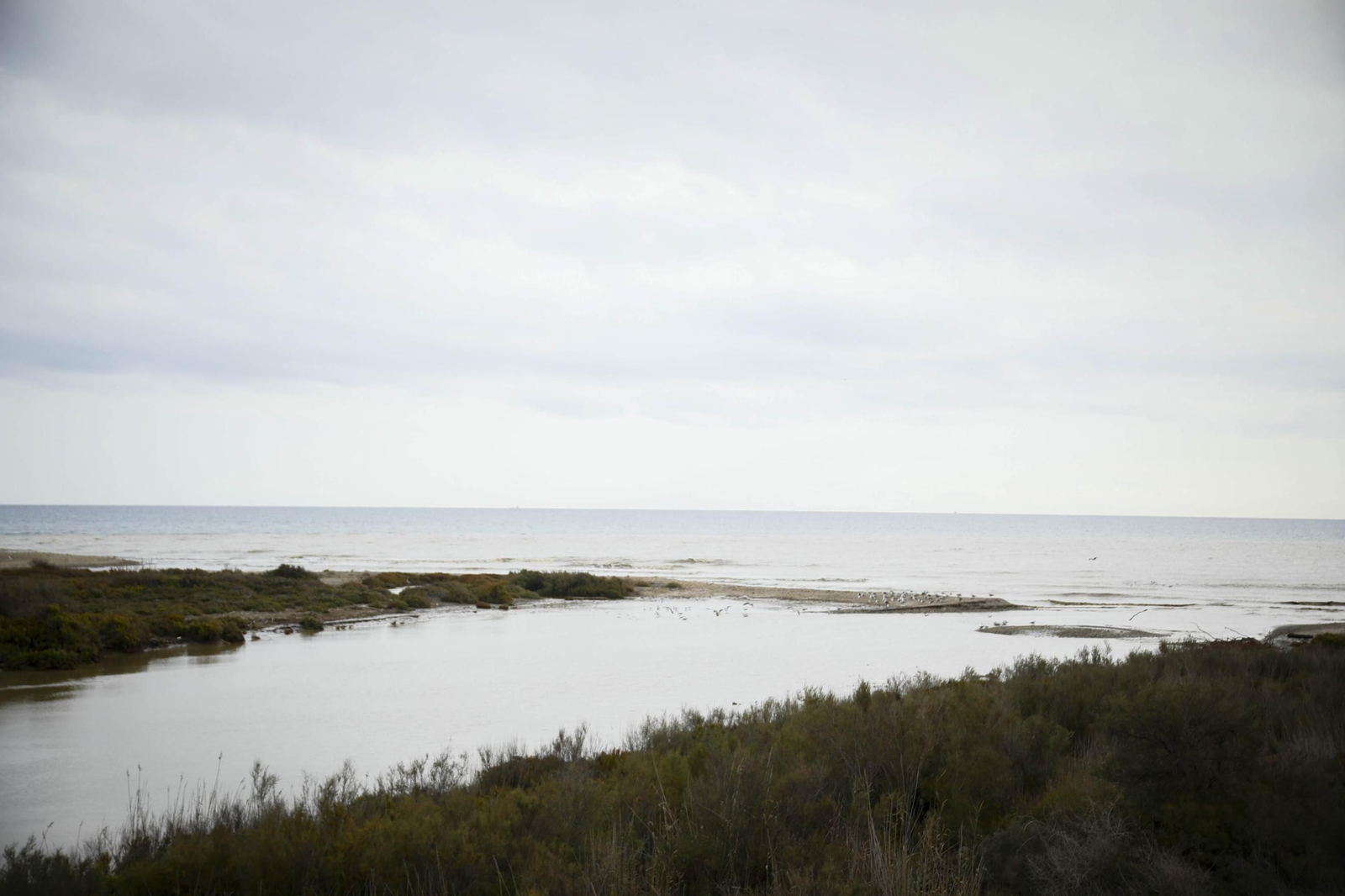 La desembocadura del río Andarax, en imágenes