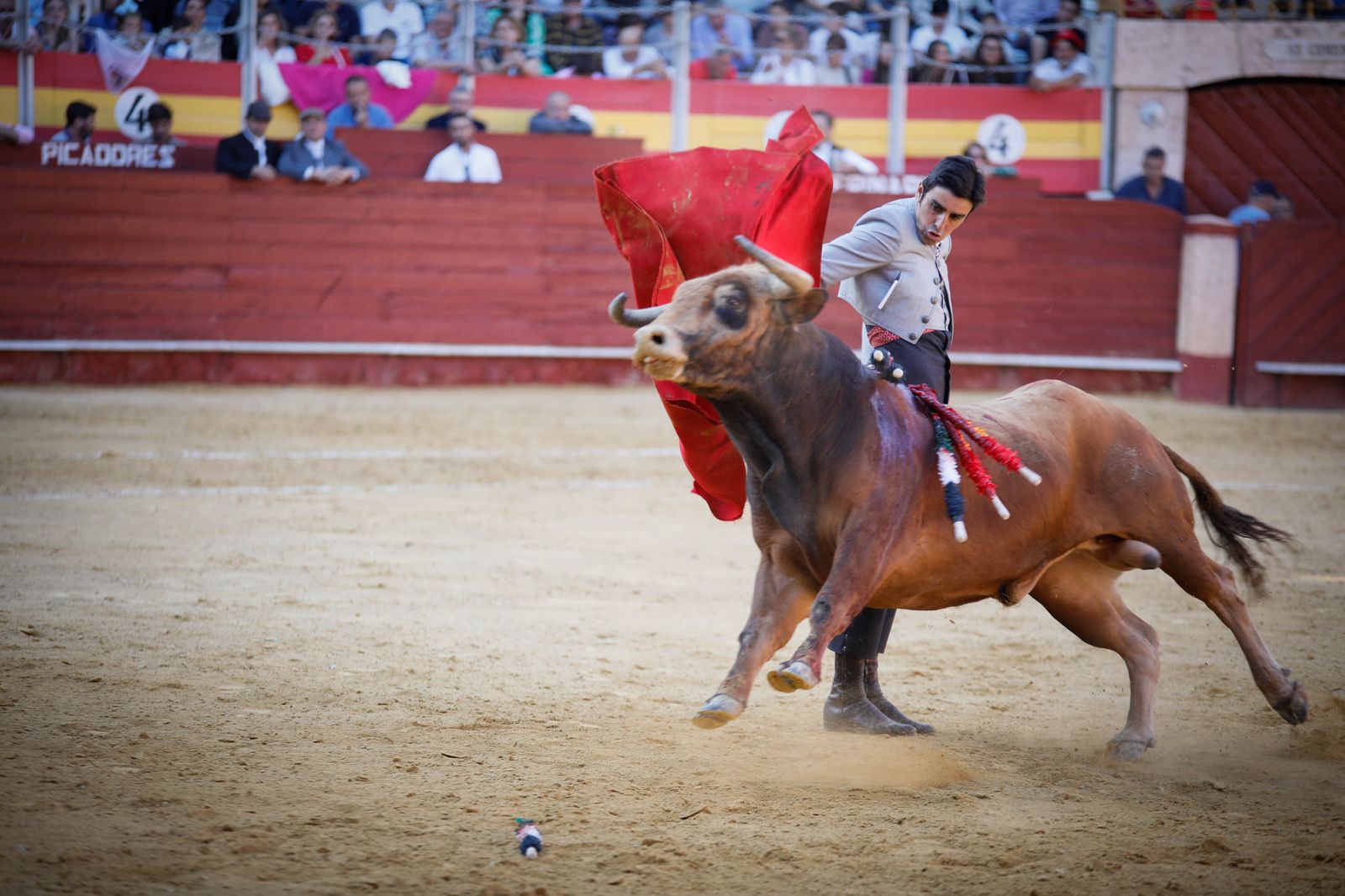 Imágenes del festival mixto lucha contra el cáncer