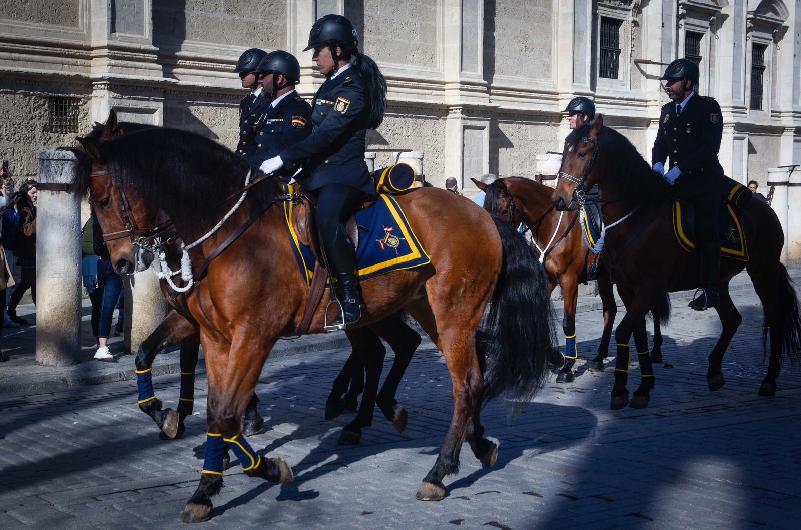 Caballería y guías caninos de la Policía Nacional celebran el patrón de los animales