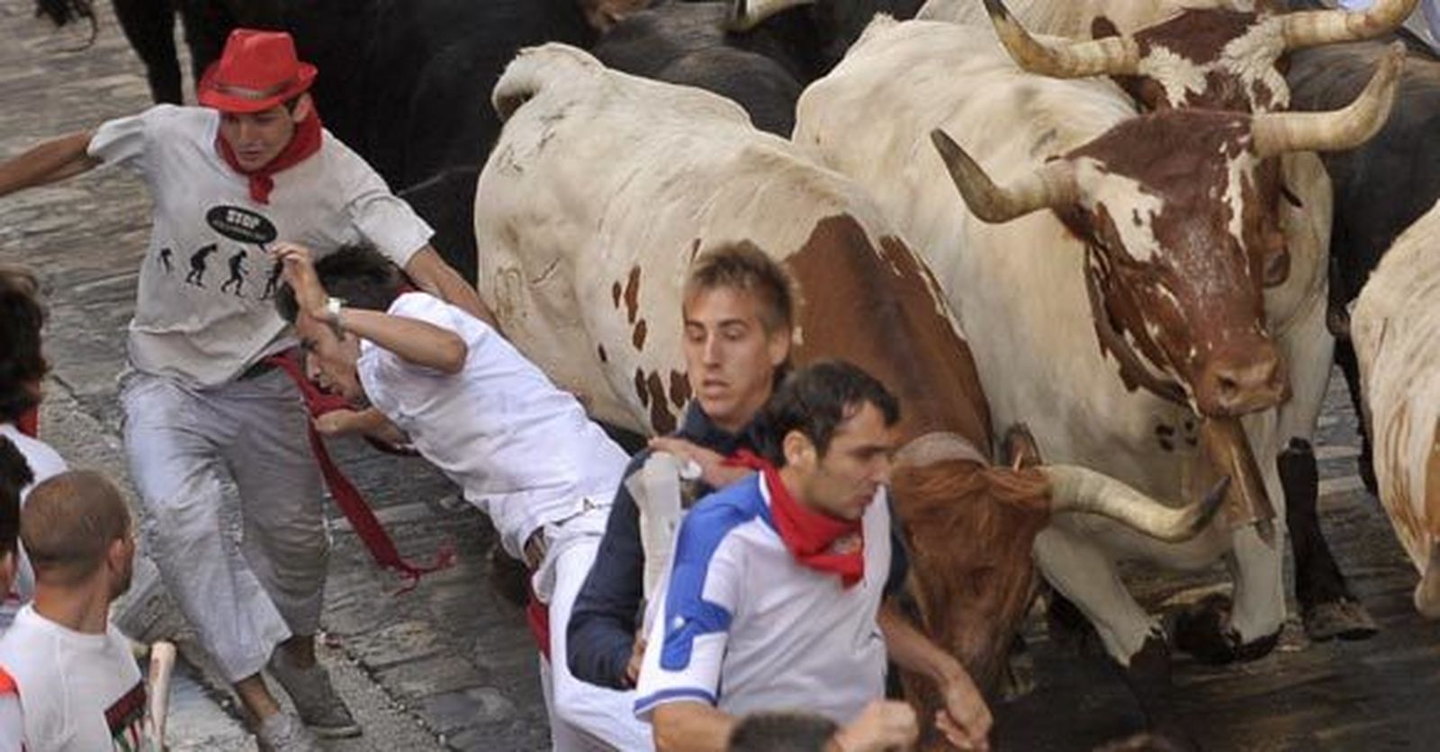 Encierro rápido y noble de los toros de Dolores Aguirre