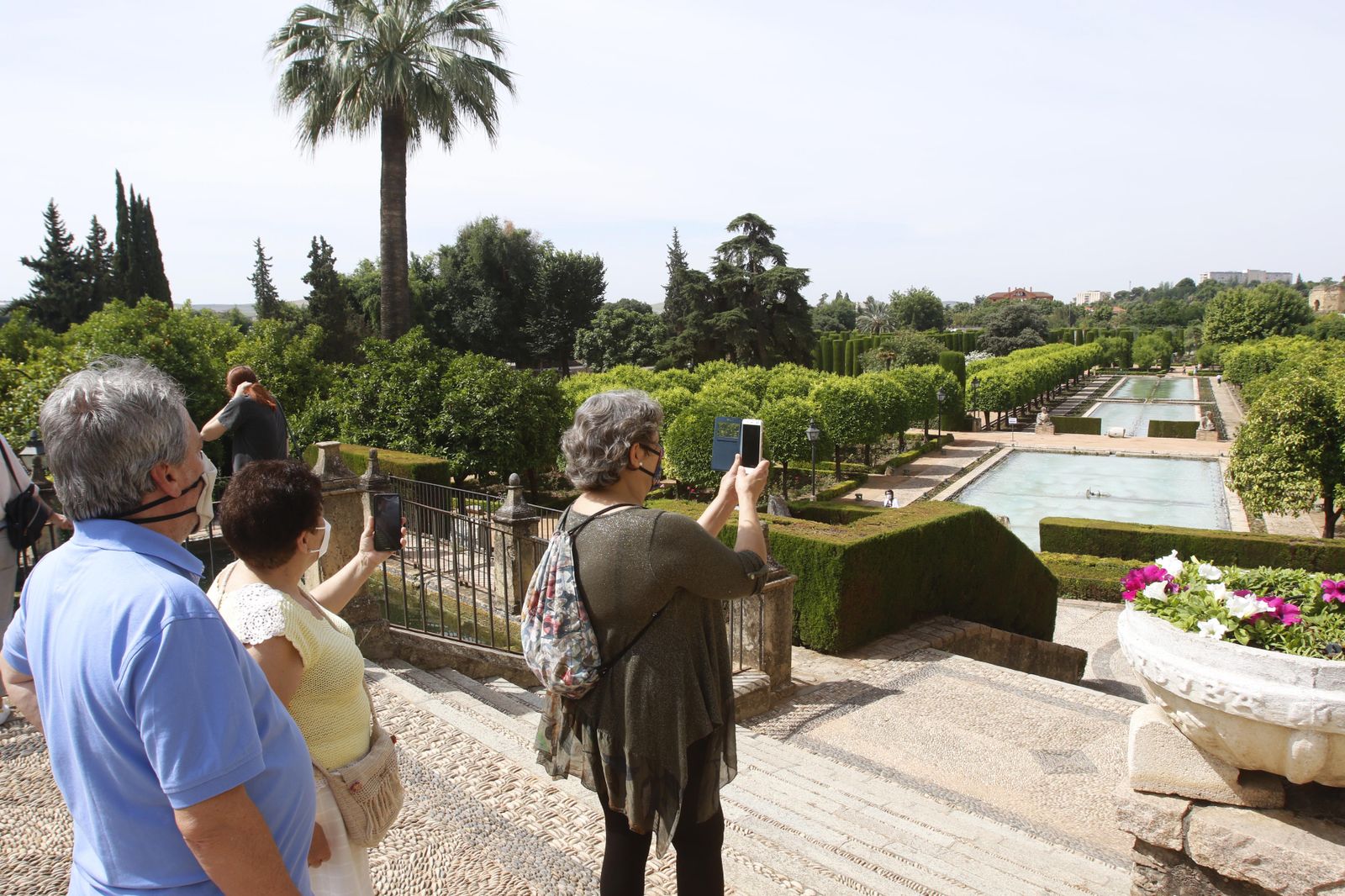 Las fotografías de la reapertura al público del Alcázar