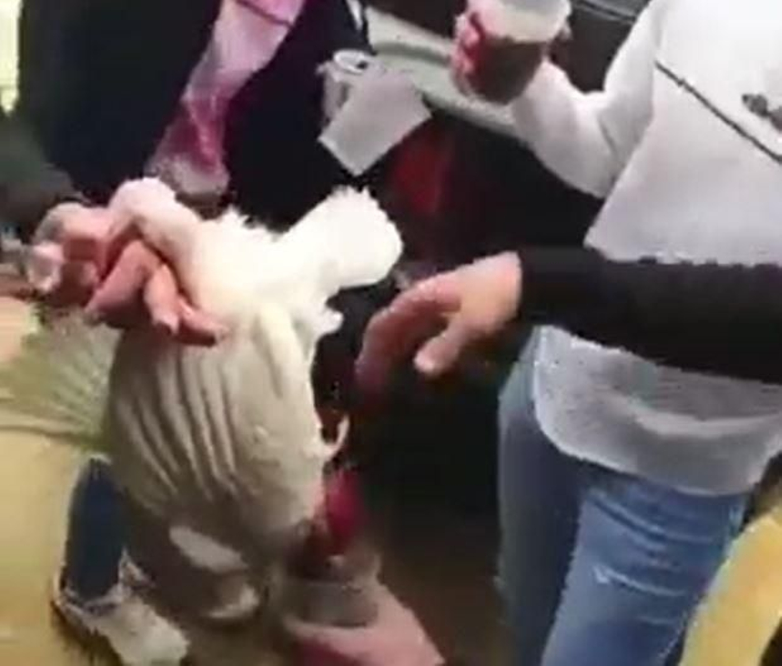 Captura del vídeo subido a internet por los jóvenes ahora absueltos.
