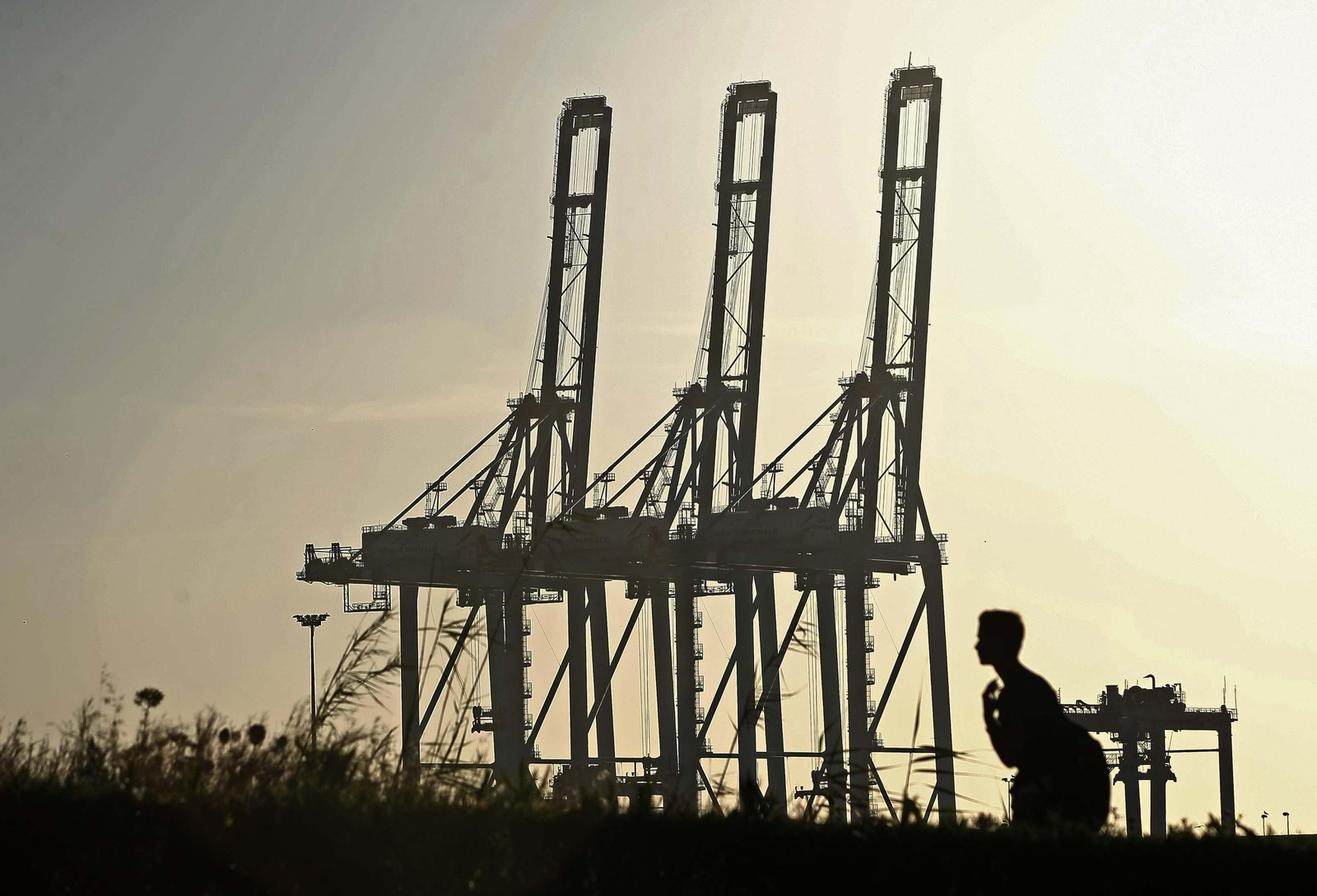 Tres de las grúas de APM Terminals en Algeciras con la pluma alzada por la inactividad de la jornada.