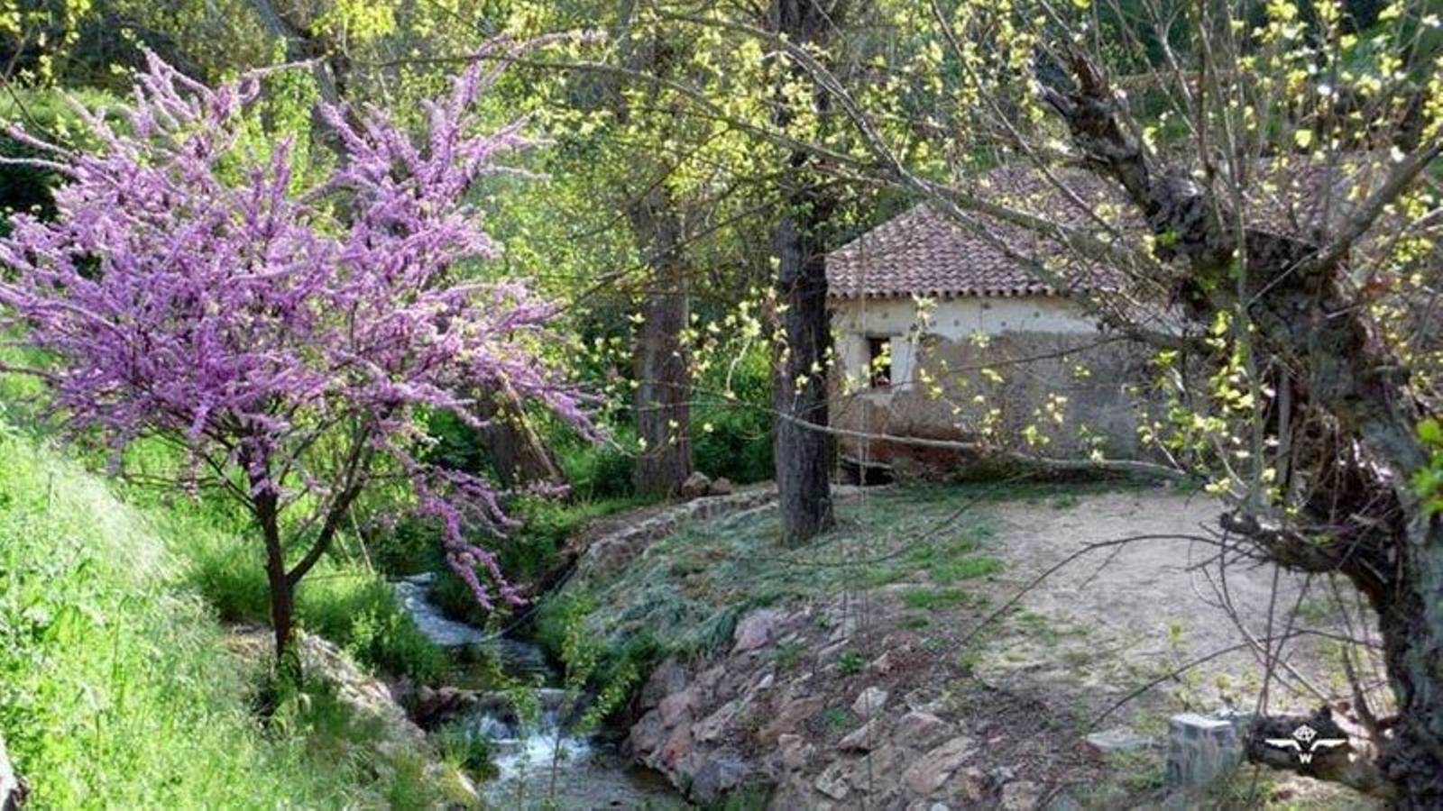 Sendero Higuera de la Sierra-Montemayor