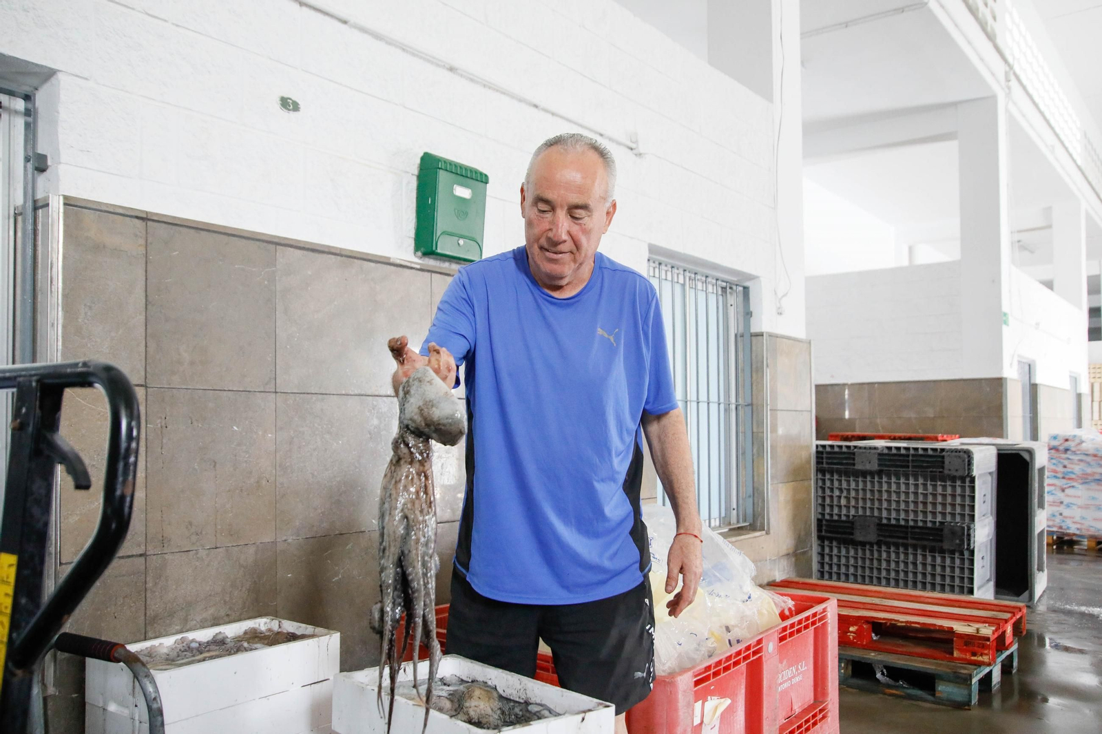 Vea cómo es la captura de pulpo en Adra, un manjar gastronómico