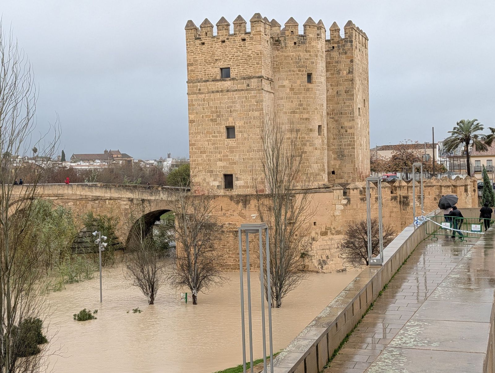 El río Guadalquivir supera los cuatro metros de altura a su paso por Córdoba, en imágenes