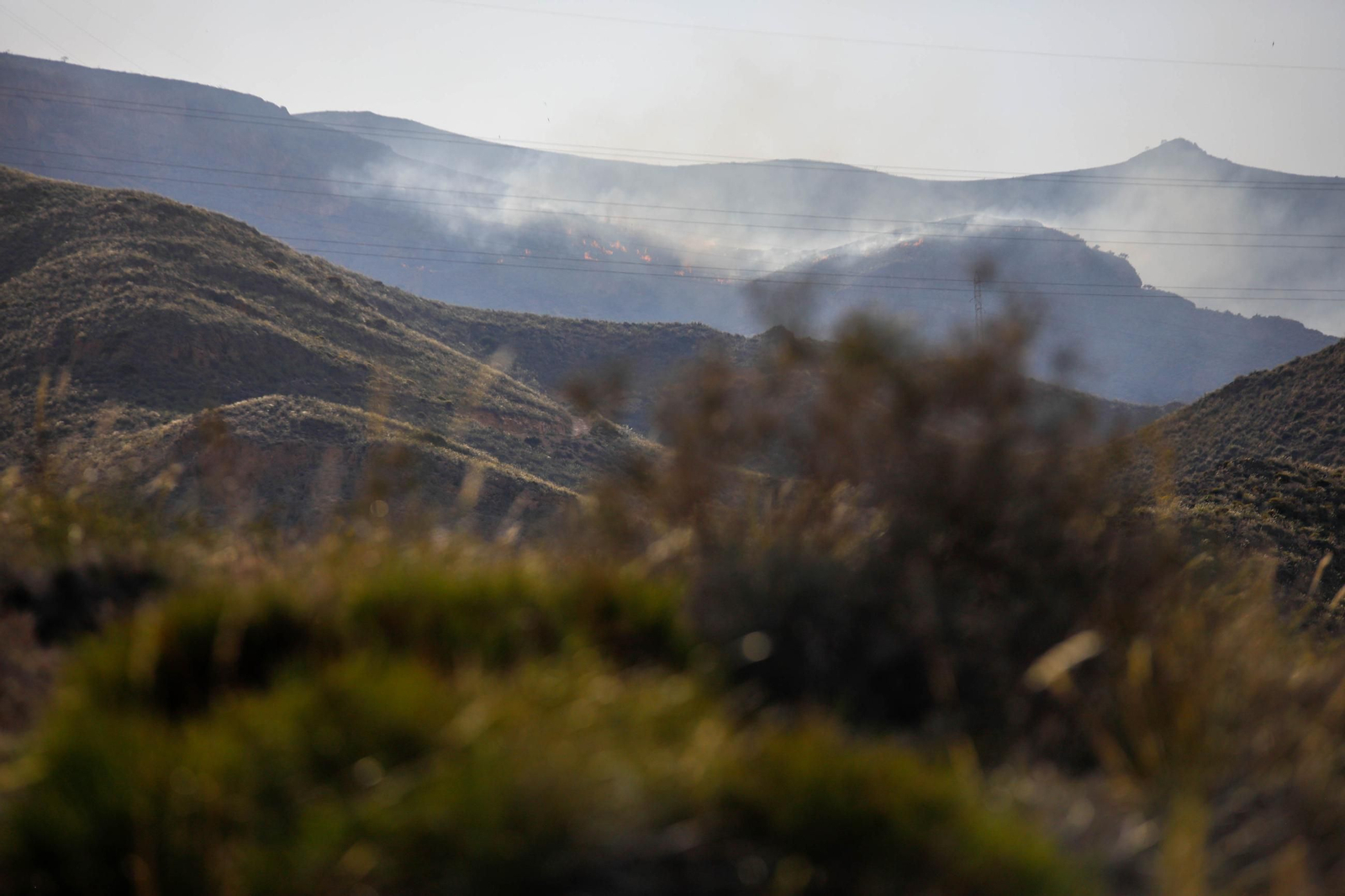 Las imágenes del incendio forestal que avanza en la sierra de Huércal
