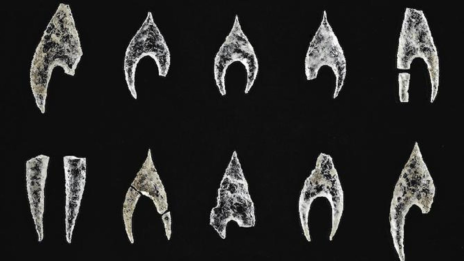Puntas de flechas halladas en la excavación.