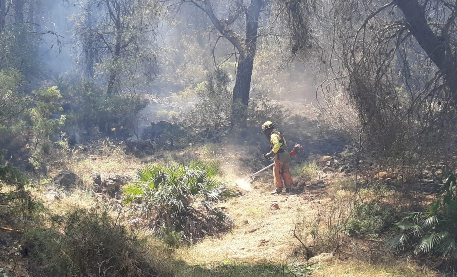 Un efectivo del Infoca, en una de las zonas afectadas por las llamas.
