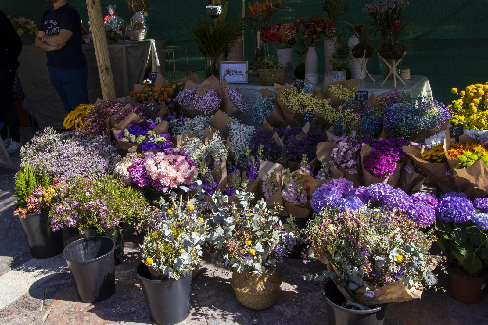 Las mejores imágenes de la Muestra de Primavera en Plaza de las Monjas, Huelva