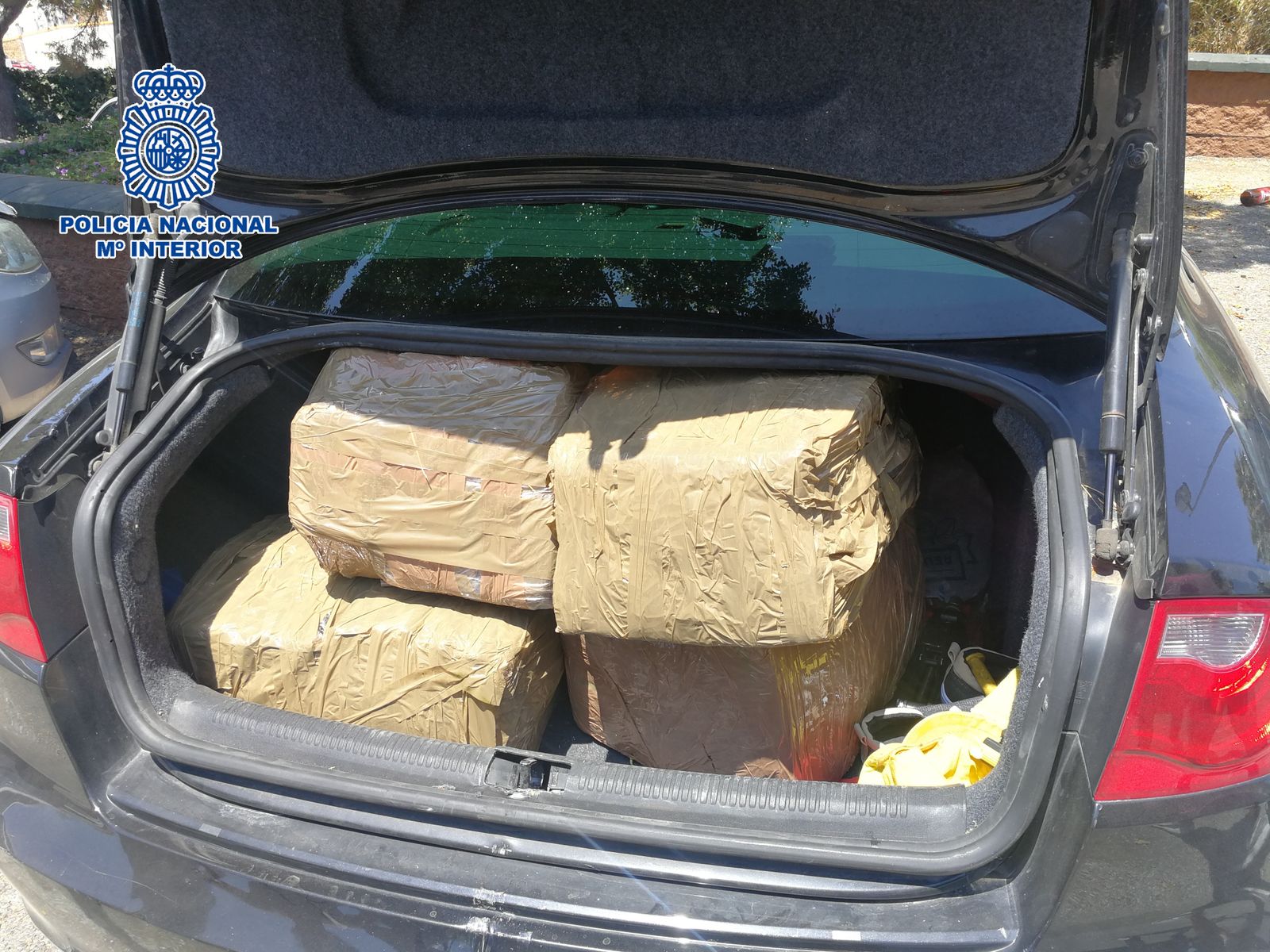 Droga incautada en la operación policial en Marbella.