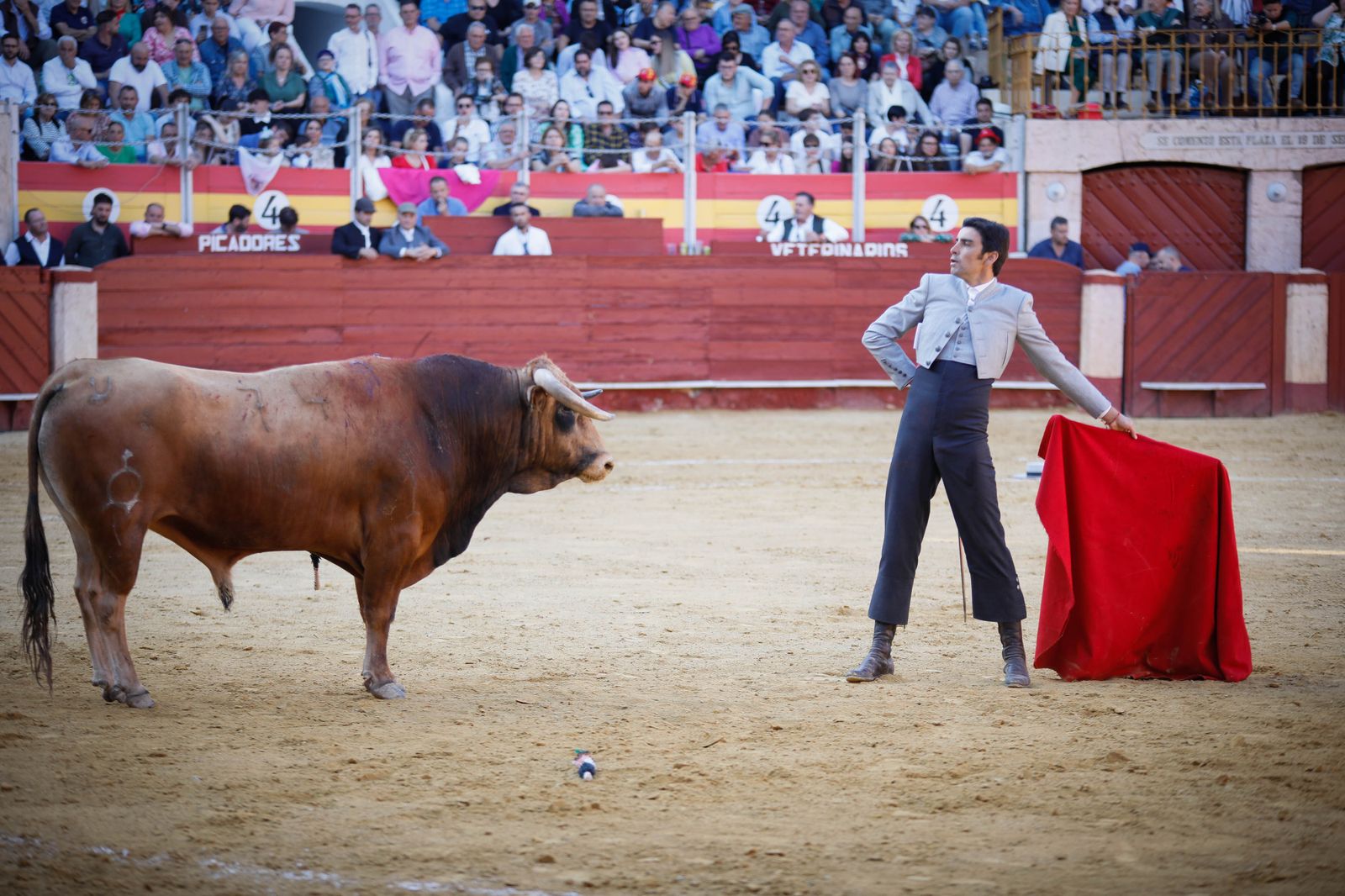 Imágenes del festival mixto lucha contra el cáncer