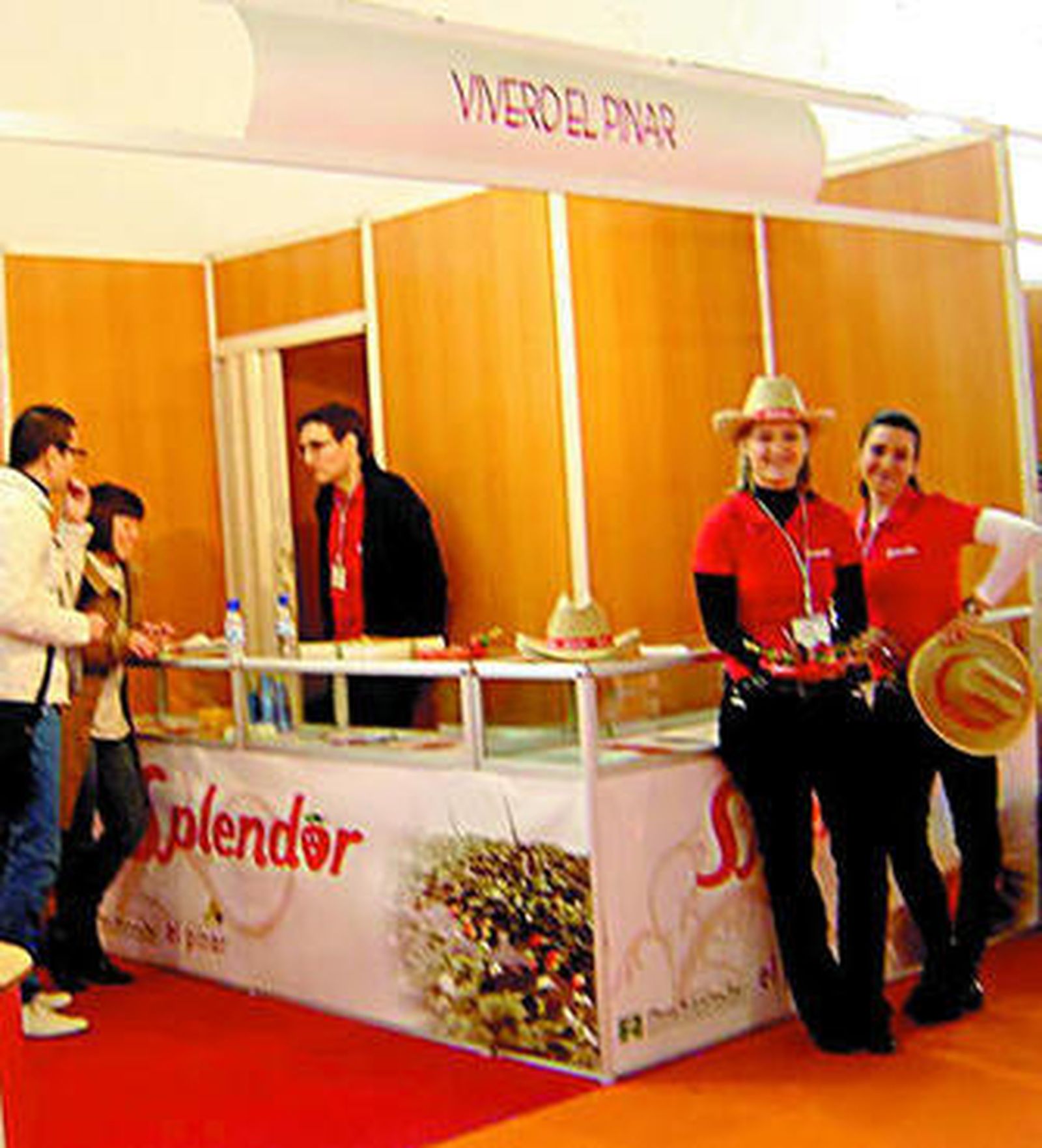 Fresas de Segovia en Huelva