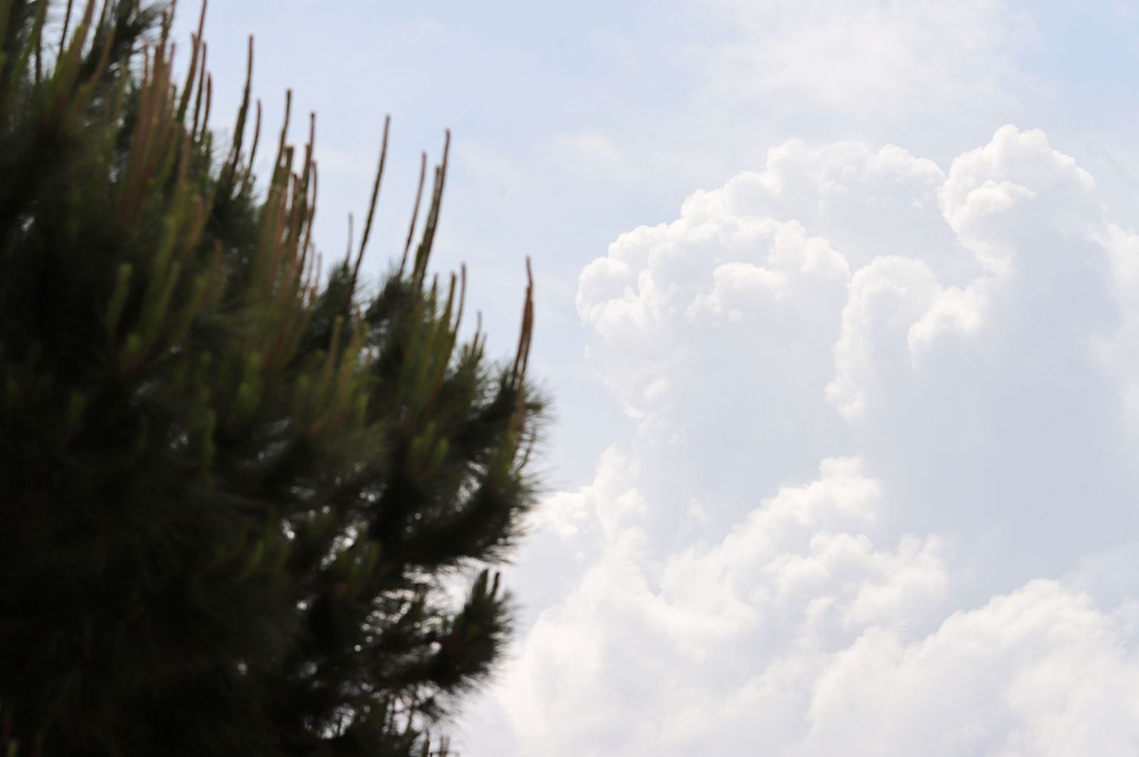 La lluvia en la jornada de domingo en Huelva