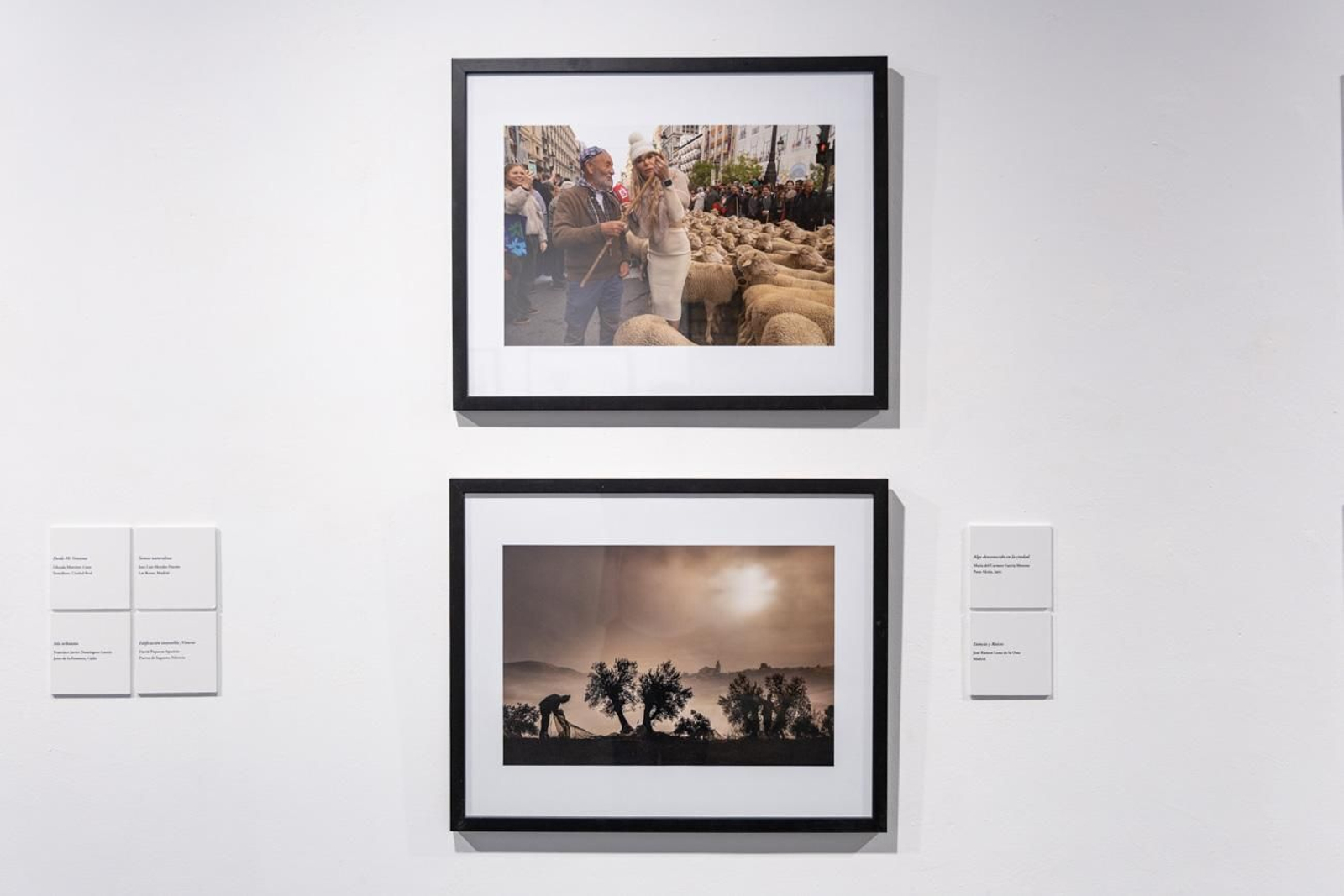 Fotografía para un mundo mejor en la Escuela José Nogué