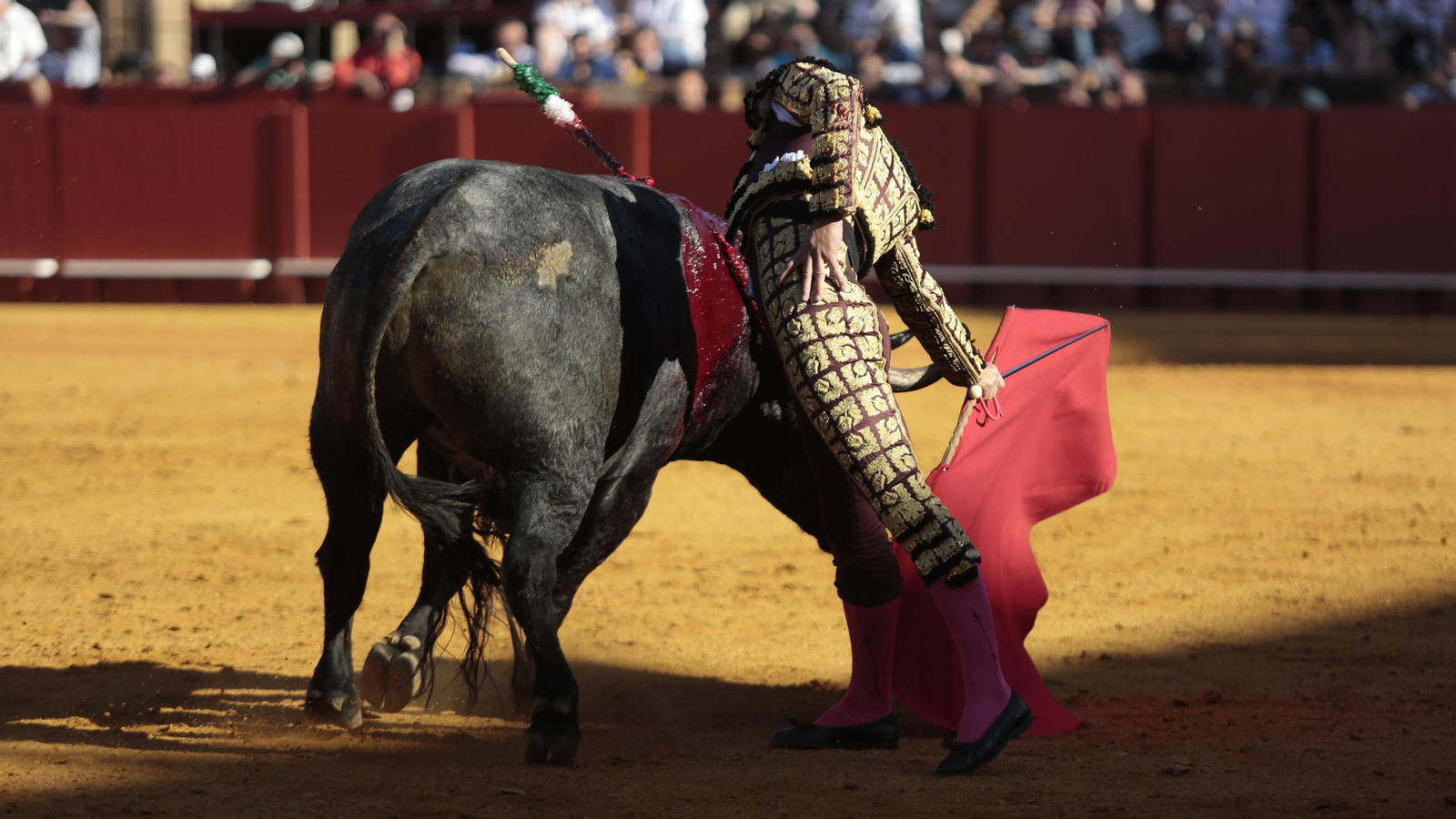 Las imágenes de la corrida de Los Miura