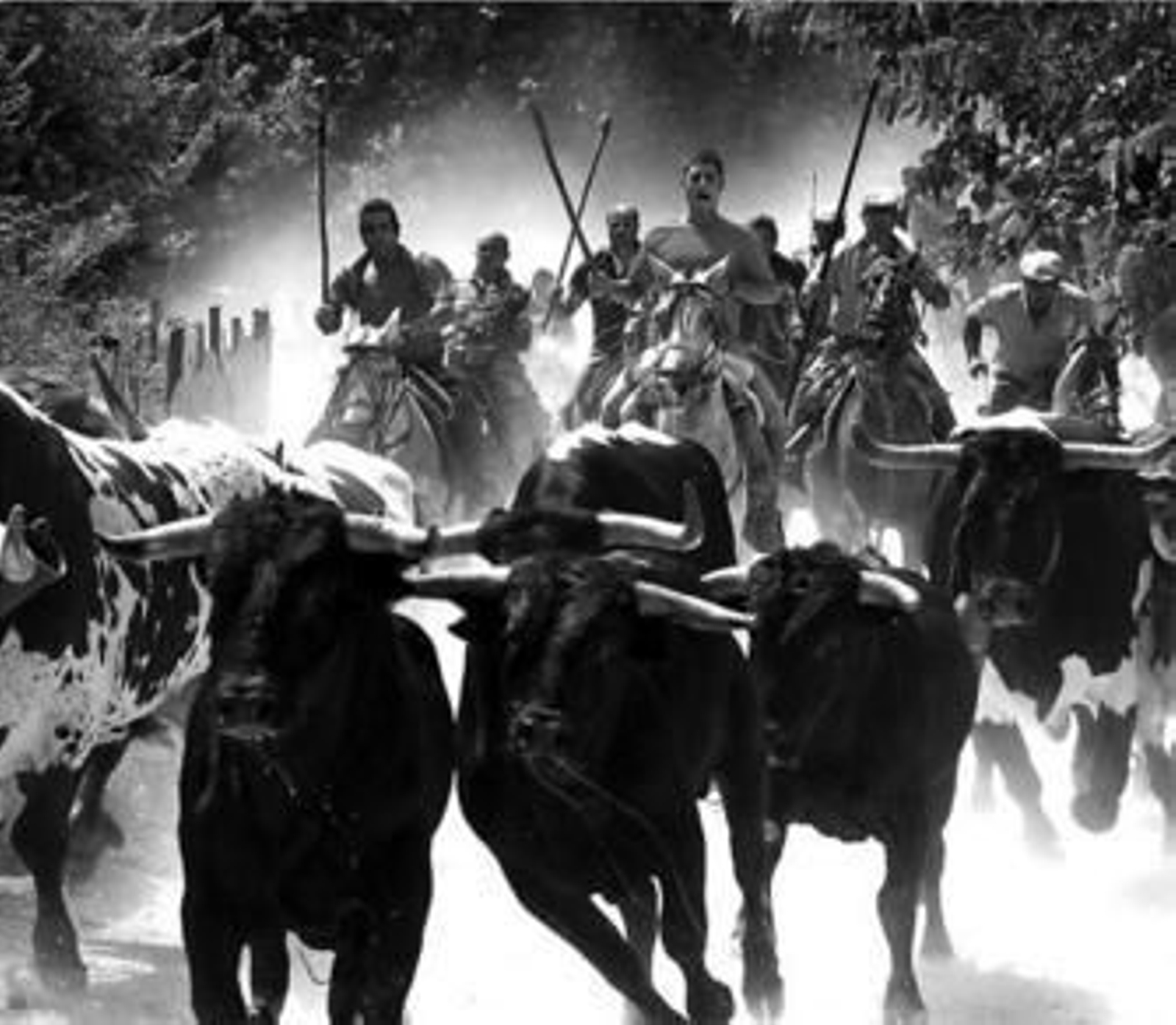 Uno de los numerosos encierros a caballo que se celebran en el país.