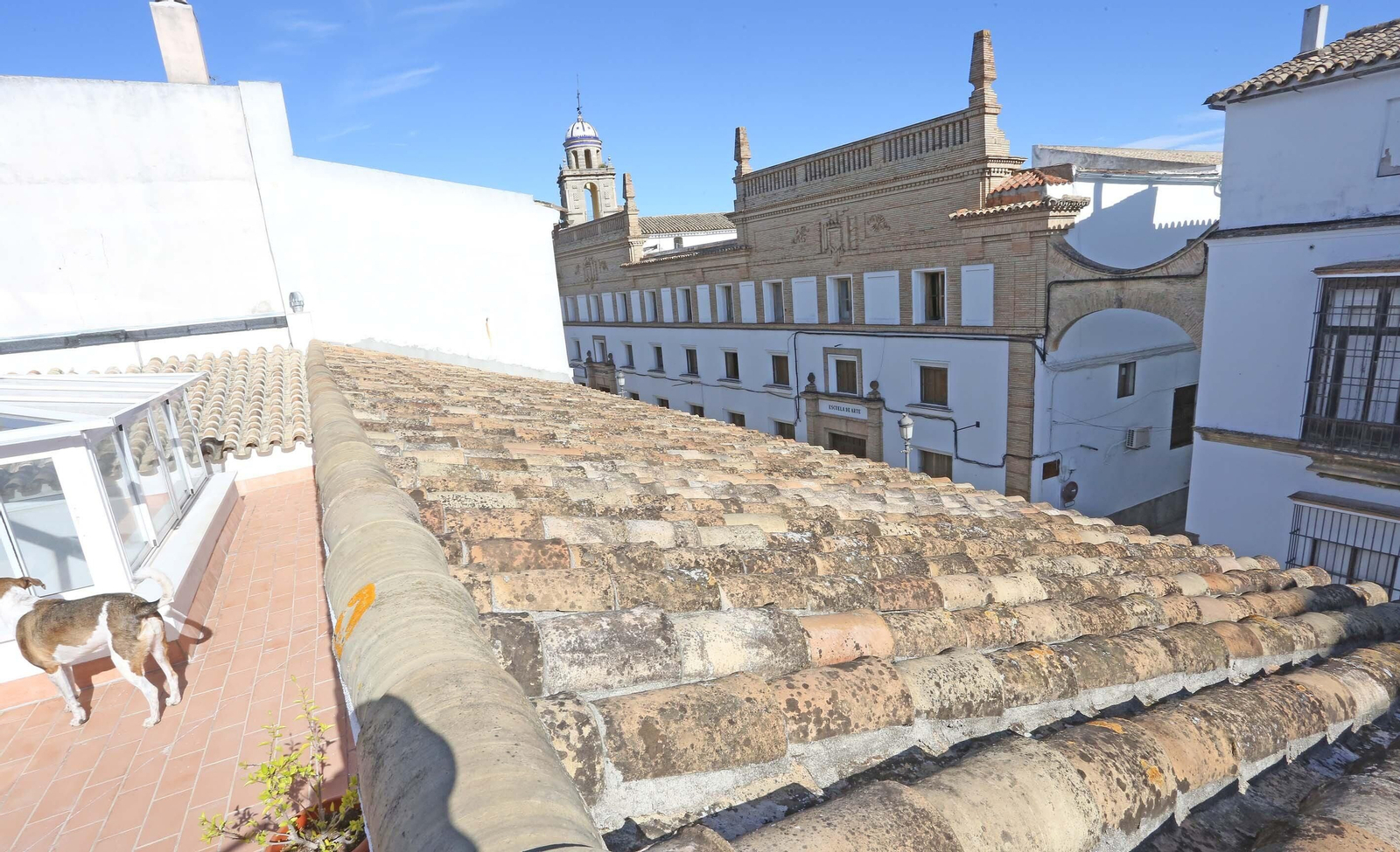 Imágenes de la casa de calle Porvera 53