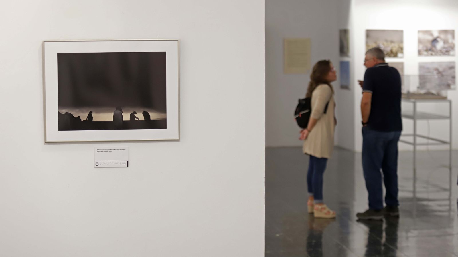Fotos de las exposiciones de la Galería Manolo Ales en La Línea
