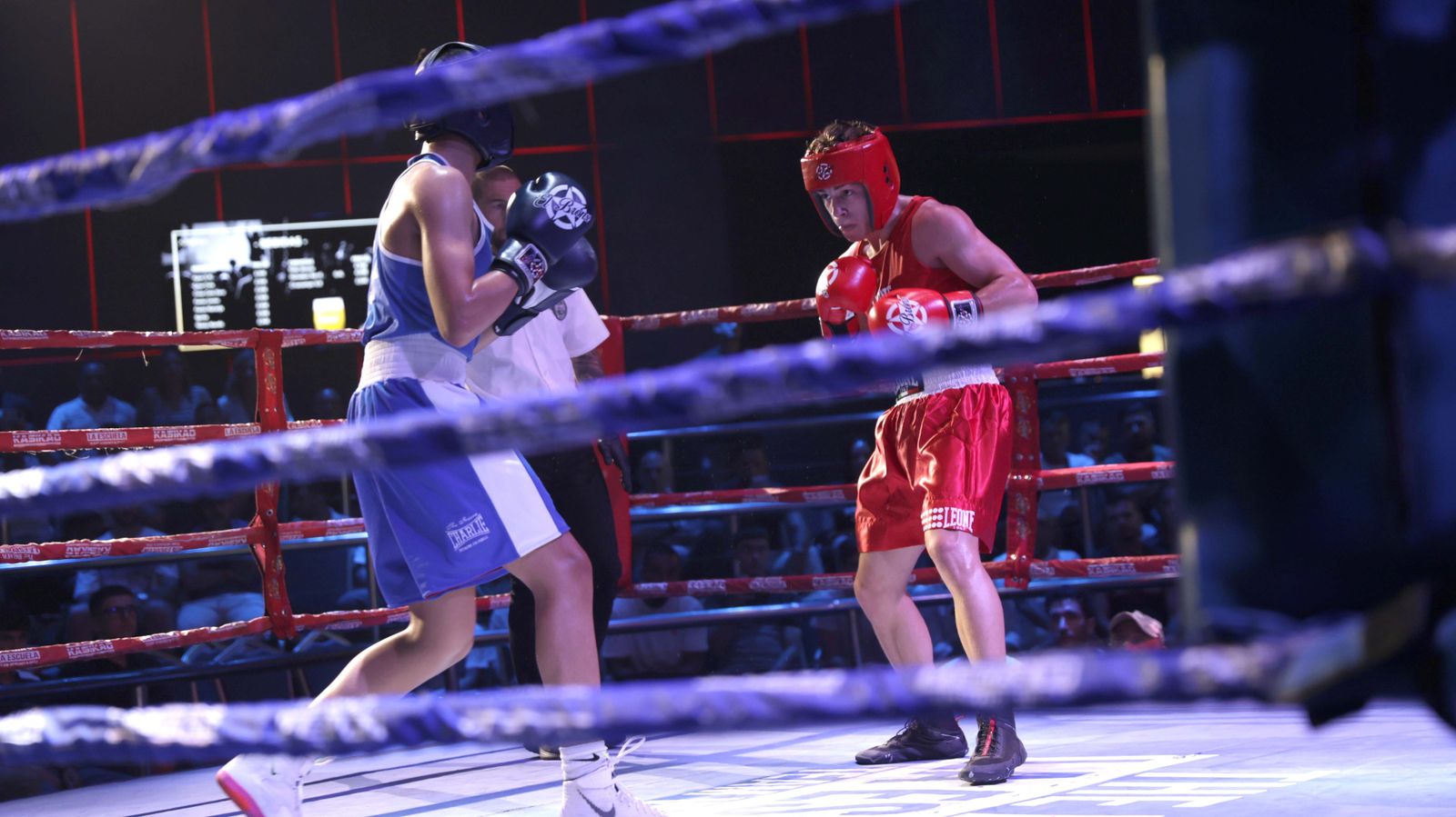 Las fotos de la VII Fight Night del Club Don Principe en San Roque