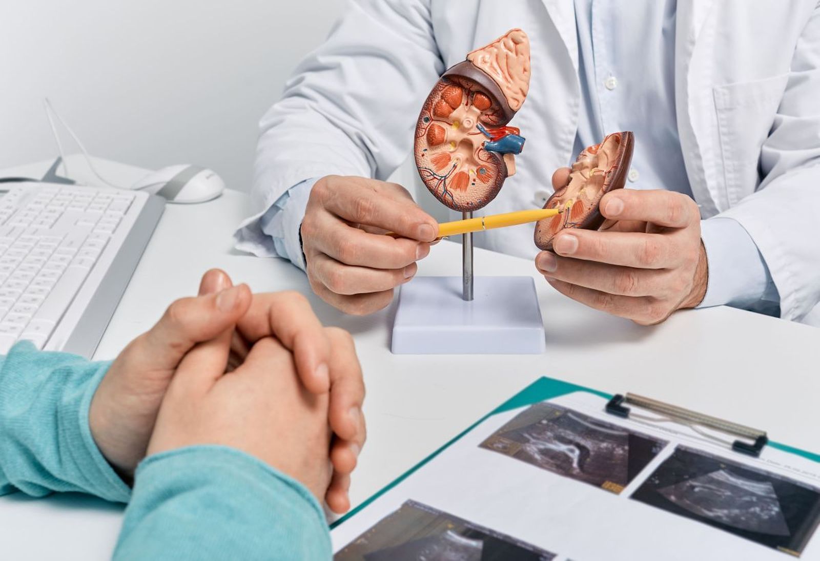 La iniciativa busca favorecer el acceso a información sobre algunas patologías, especialmente las glomerulonefritis crónicas.