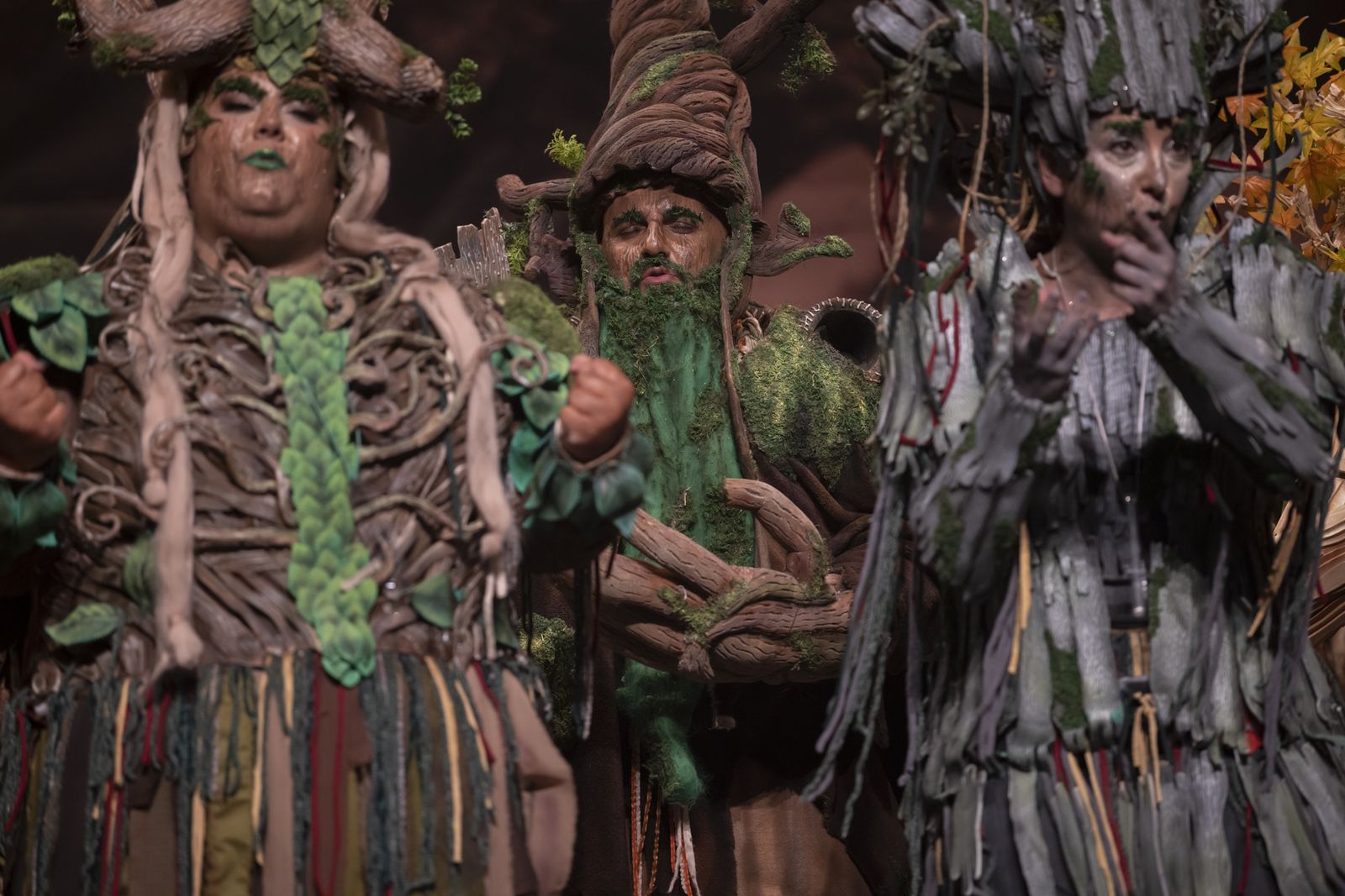 Imágenes de la actuación de la comparsa de Huelva "La vieja verde" en el Carnaval Colombino