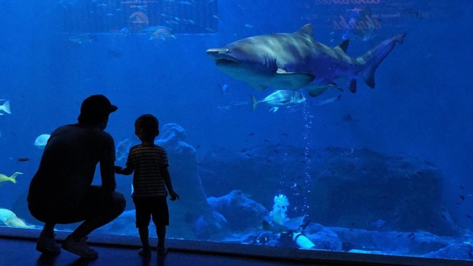 Acuario de Sevilla