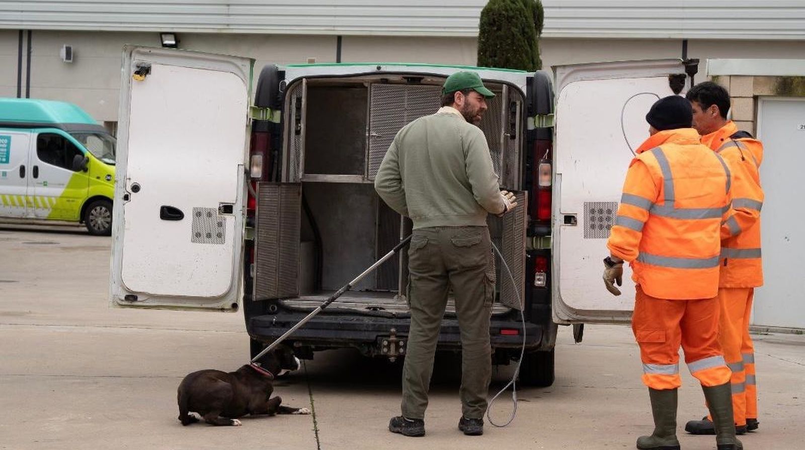 Traslado de los perros y gatos del Servicio de Bienestar Animal ante el riesgo de inundación.