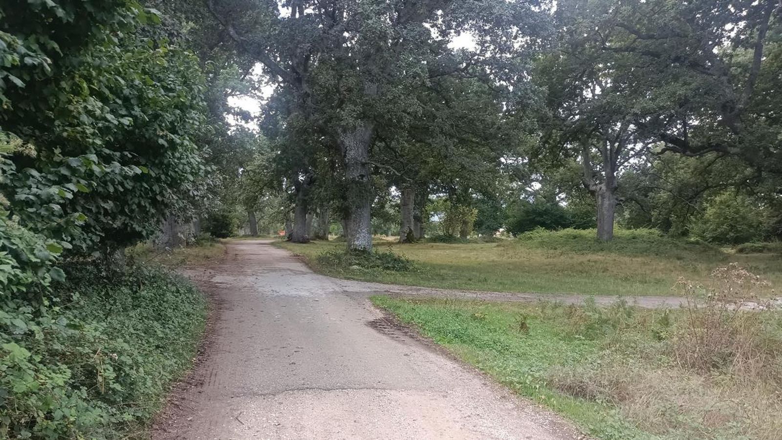 La Dehesa de Villasante, con algunos árboles centenarios.