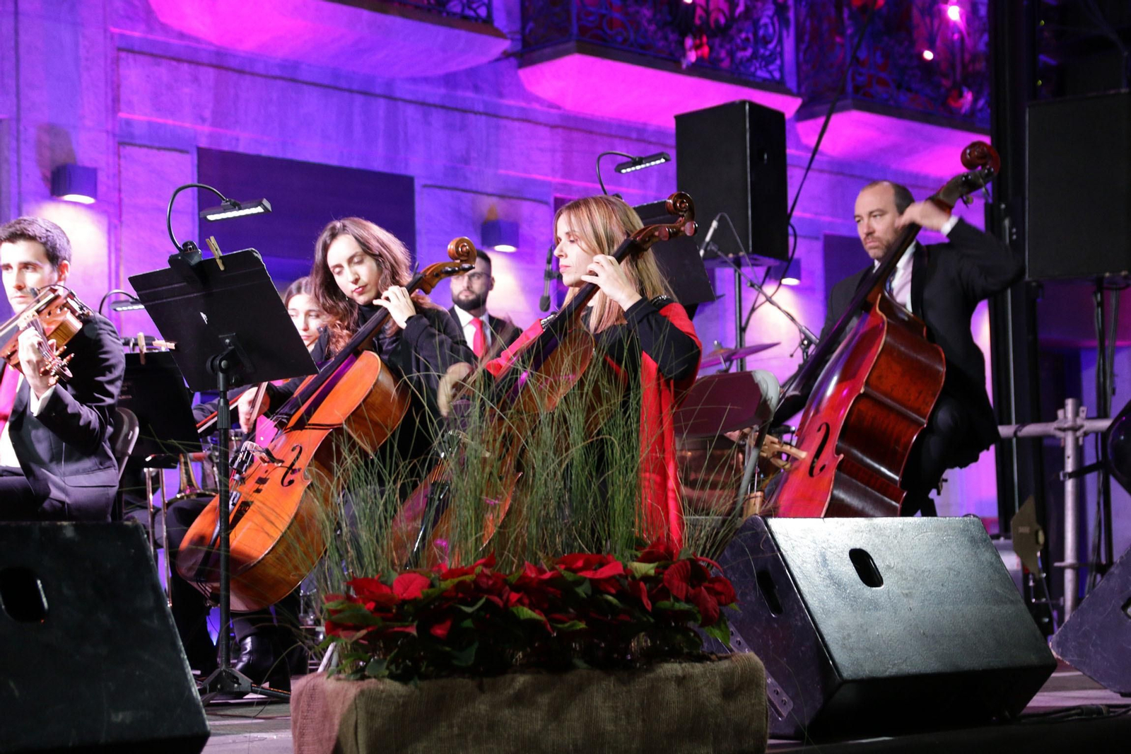El encendido navideño de Almería, en imágenes
