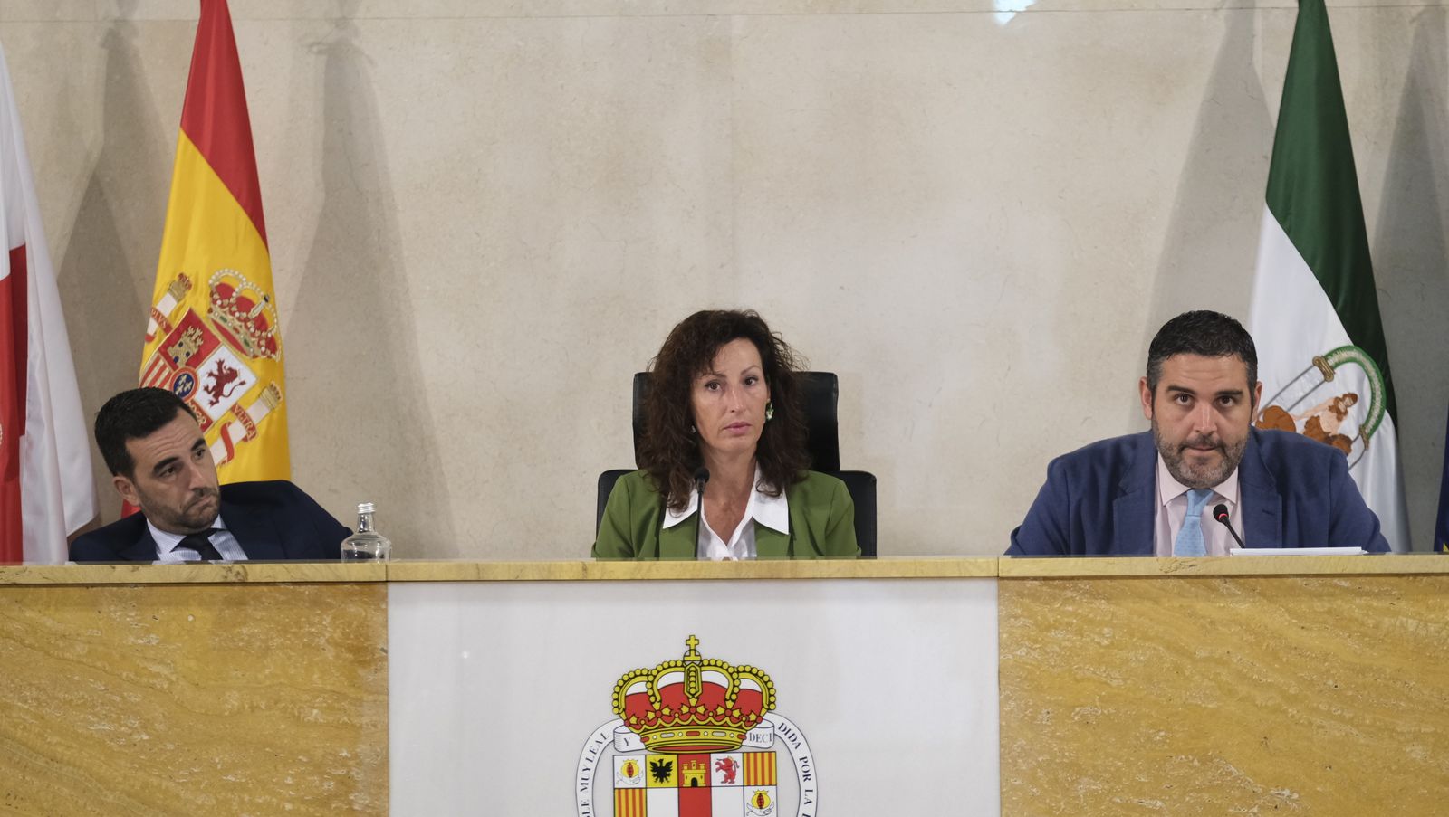 Imágenes del pleno ordinario del Ayuntamiento de Almería
