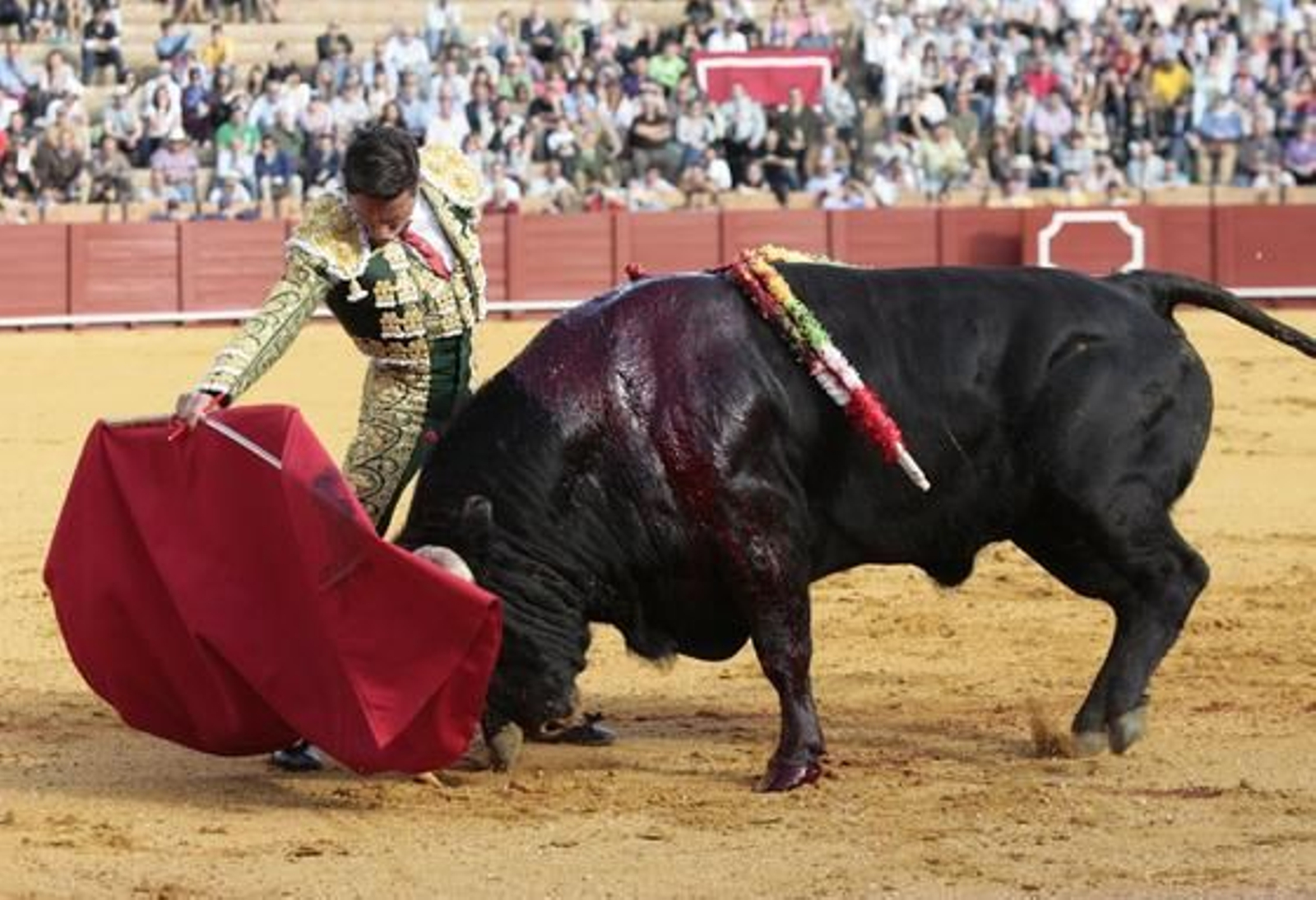 El matador de toros riojano Diego Urdiales en un derechazo.

Foto: Juan Carlos Muñoz