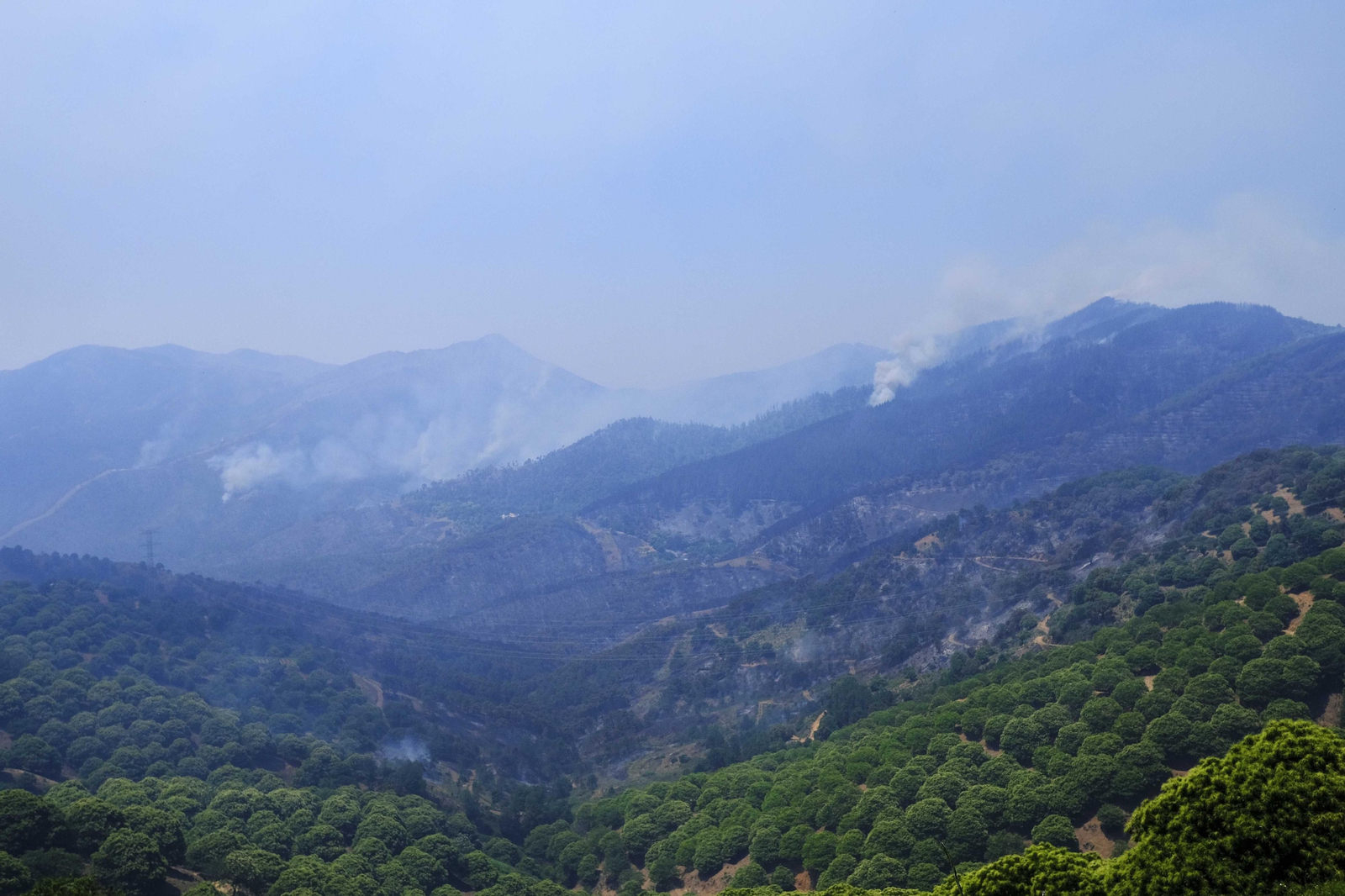 Las fotos del tercer día del incendio en Sierra Bermeja