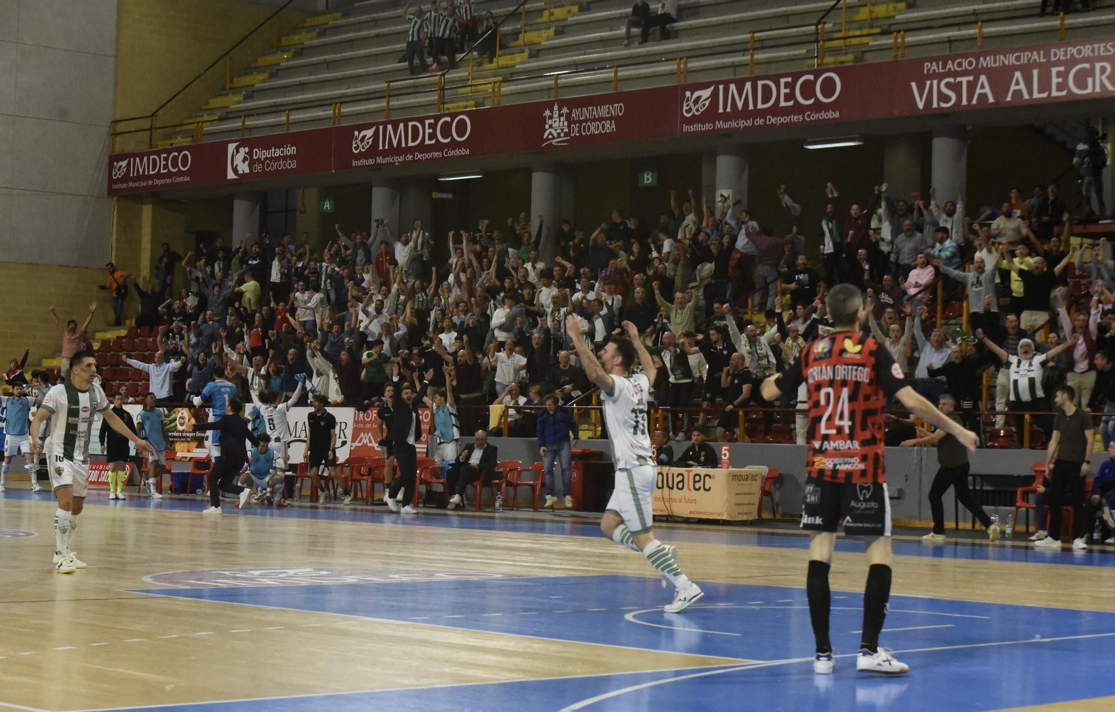 Las mejores fotos del ambiente en Vista Alegre para el Córdoba Futsal - AD Sala 10 Zaragoza