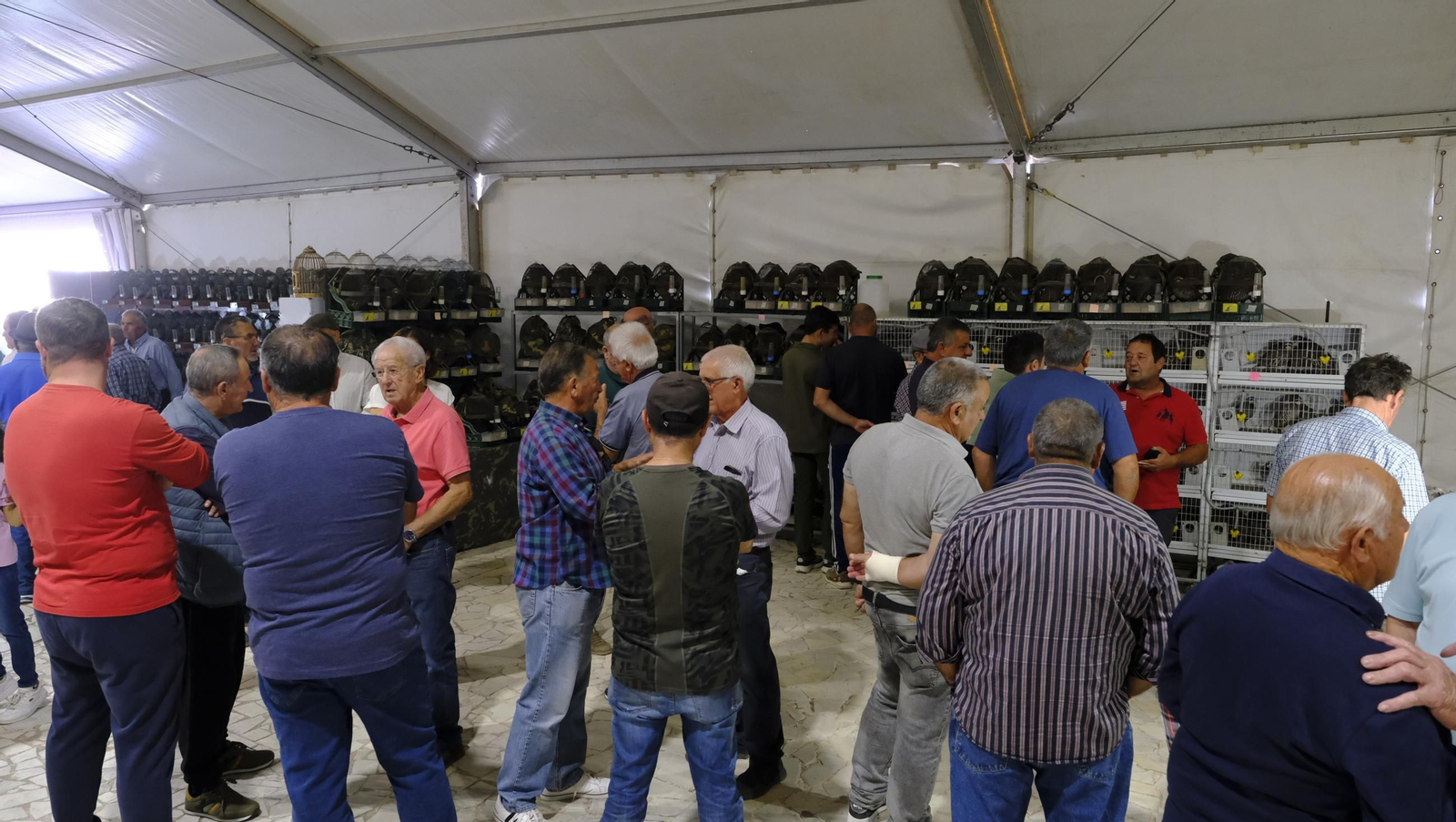 Las fotos de la Feria del Ganado y del Pájaro Perdiz en Albox