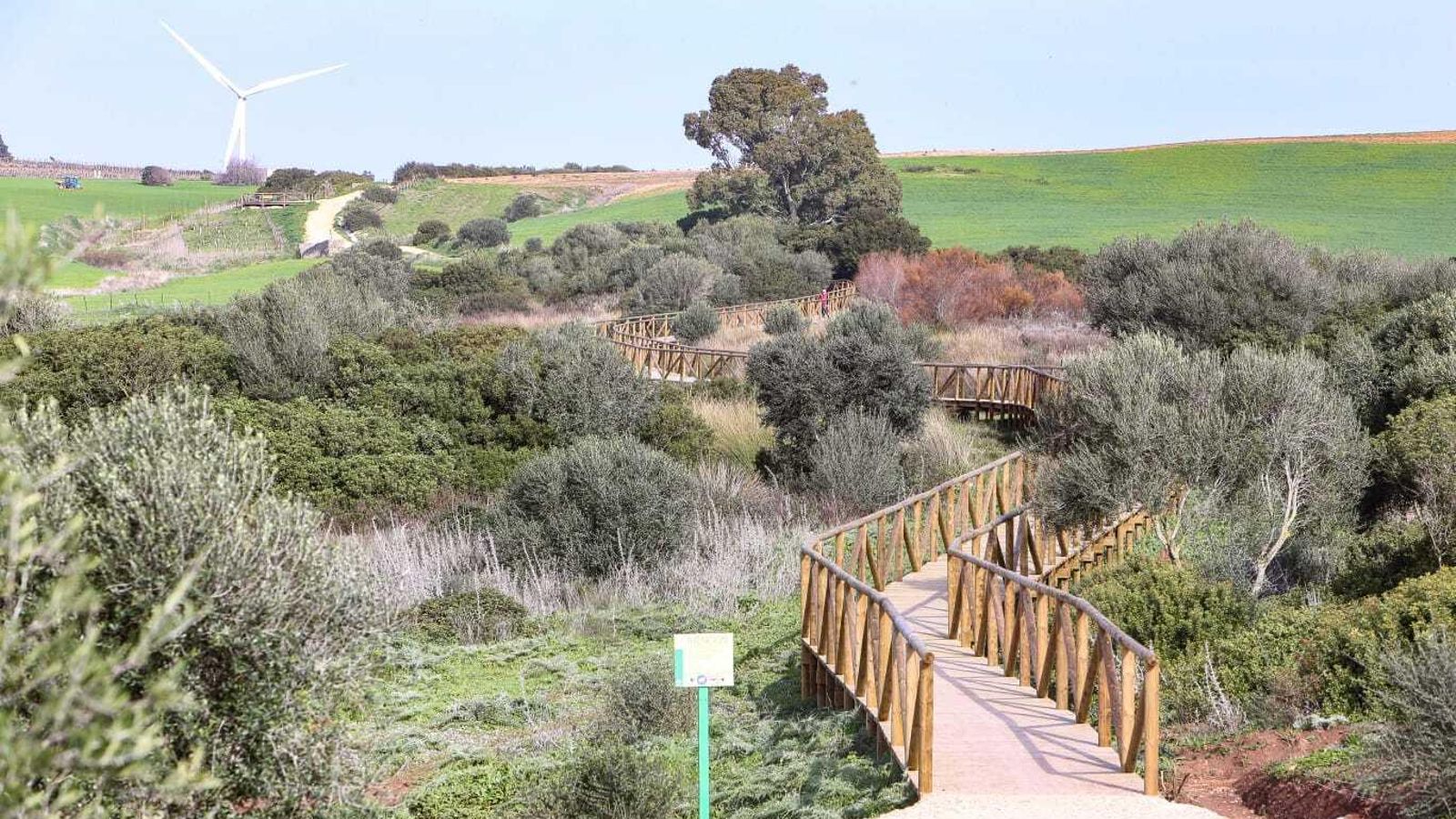 Vista panorámica de la pasarela de madera habilitada sobre la Laguna de Jeli.