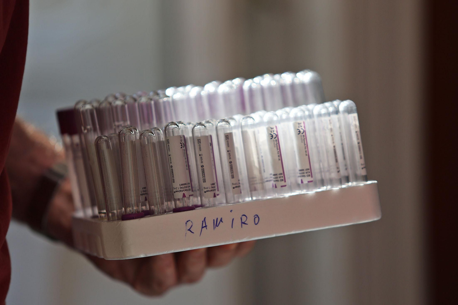 Imágenes de la macrocolecta de sangre en la Casa Colón de Huelva