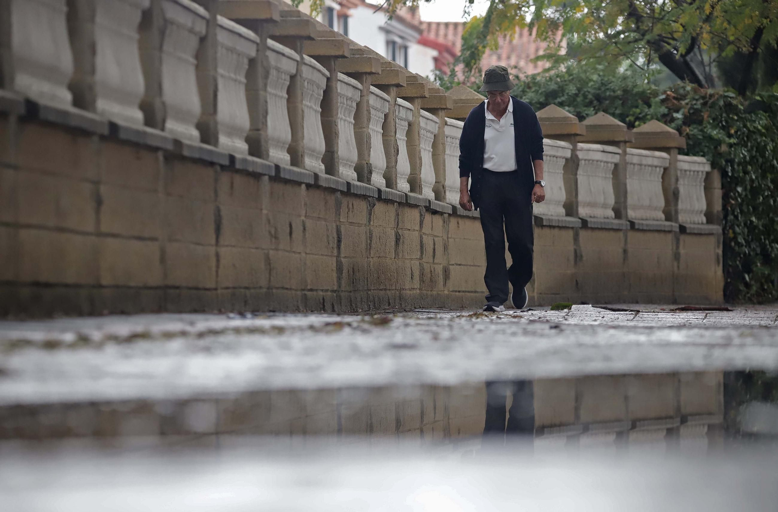 Las primeras lluvias de otoño, en imágenes