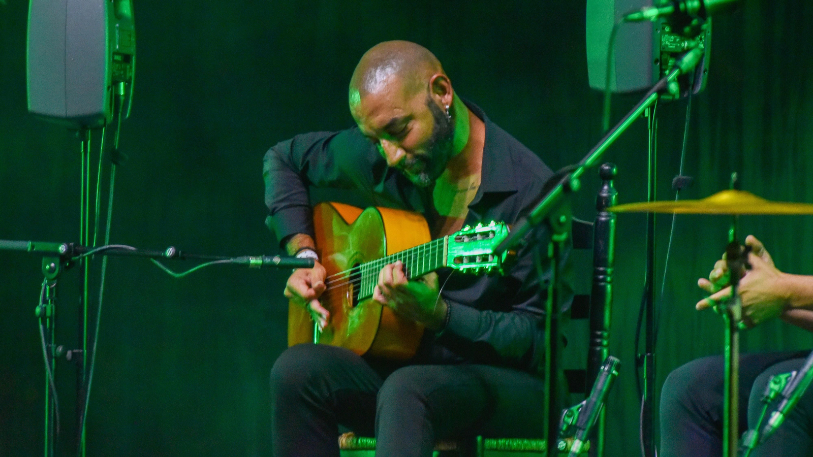 Fotos del concierto de Diego del Morao en el IX Encuentro Internacional de guitarra Paco de Lucía